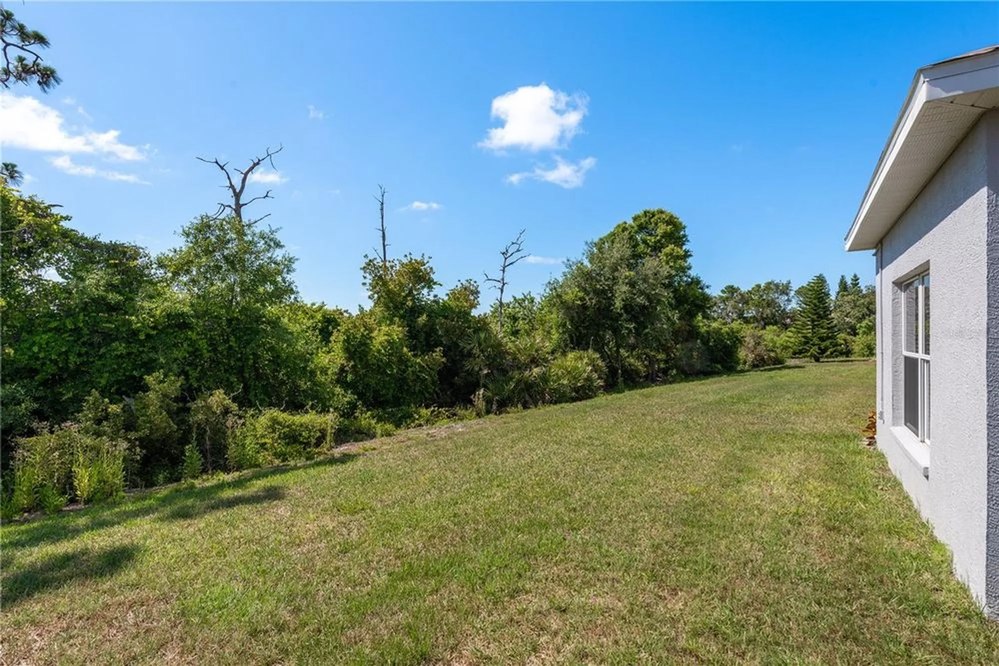 Property Slideshow image 78 of 90 | 2747 wood pointe dr, Holiday, FL, 34691