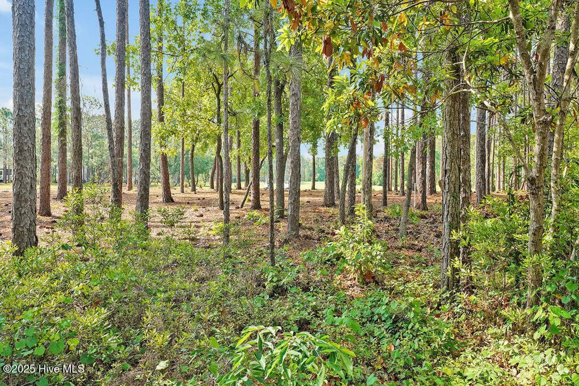 Property Slideshow image 40 of 56 | 3185 wexford way, Southport, NC, 28461