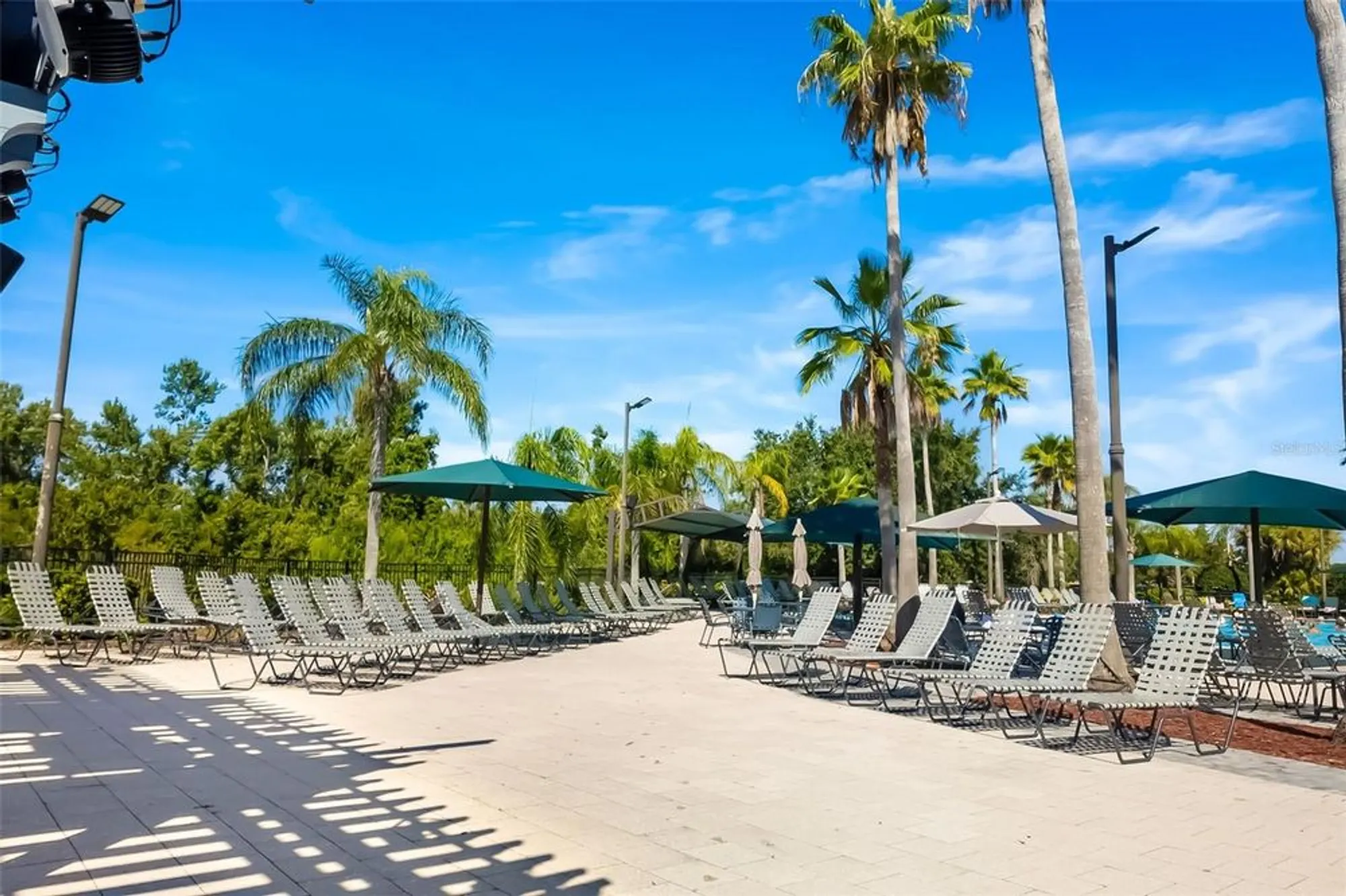 Property Slideshow image 54 of 76 | 2411 new haven cir 70, Sun City Center, FL, 33573