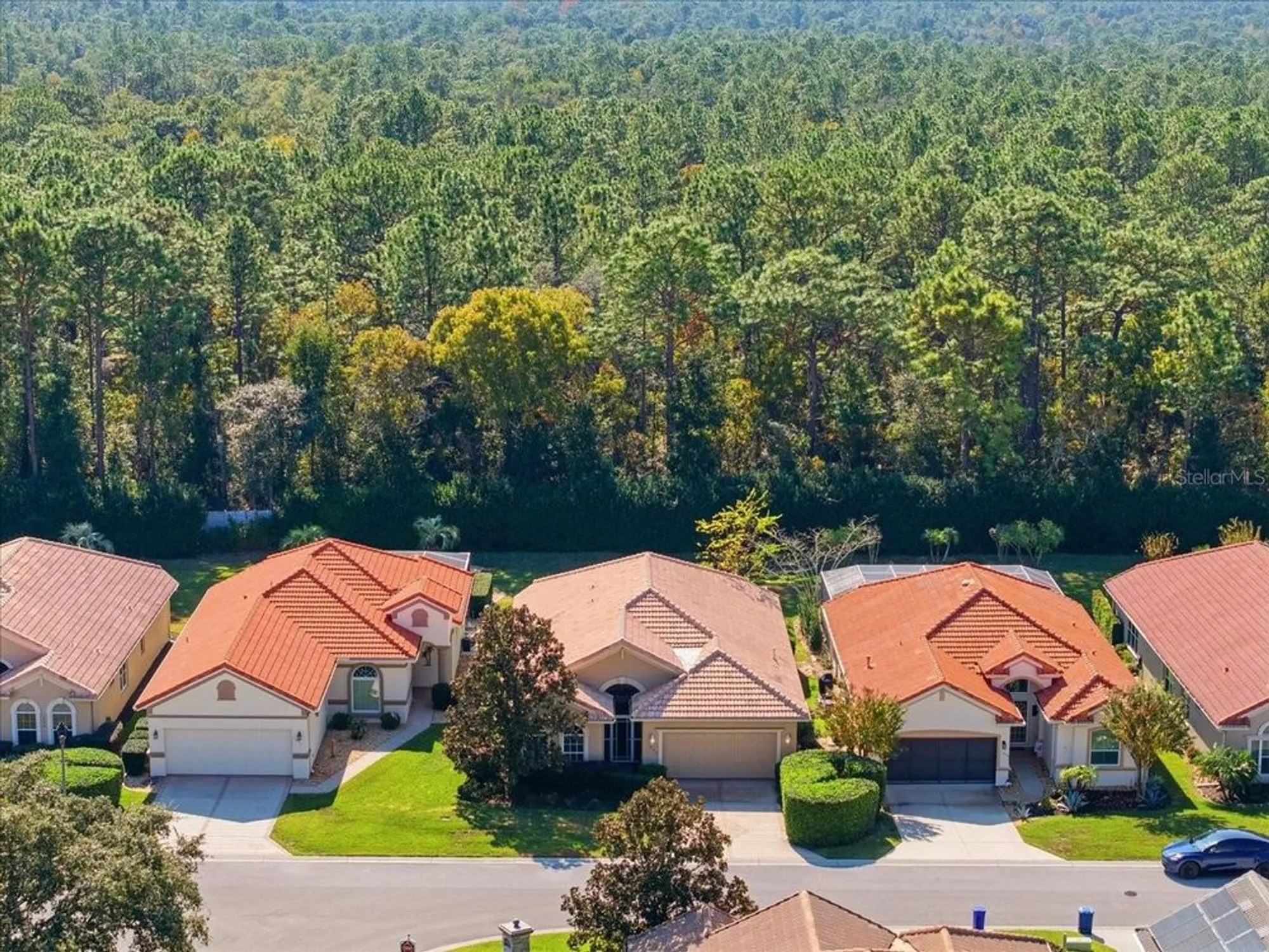 Property Slideshow image 52 of 55 | 1650 w laurel glen path, Hernando, FL, 34442