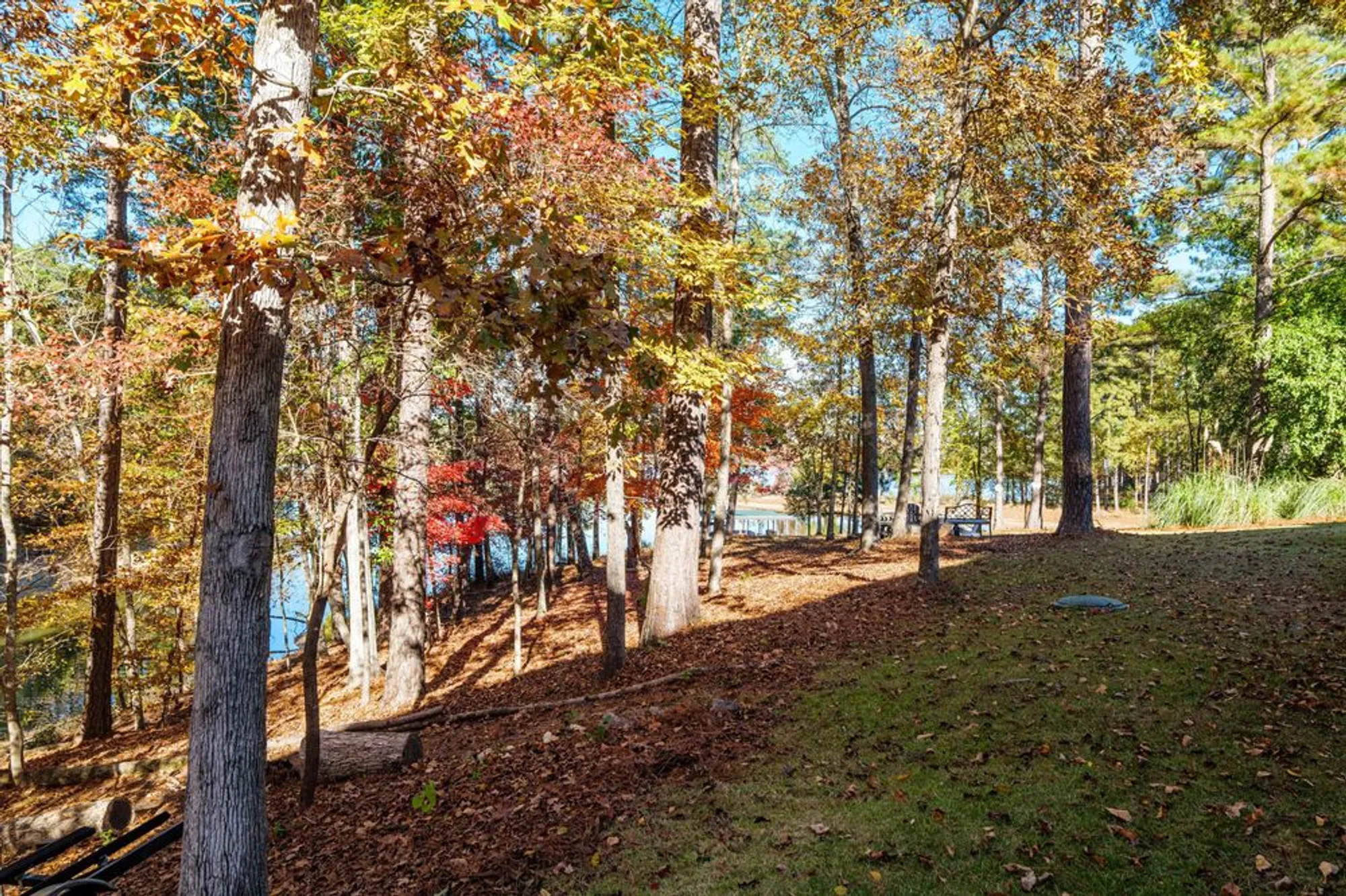 Property Slideshow image 59 of 72 | 214 butler pt, Mc Cormick, SC, 29835