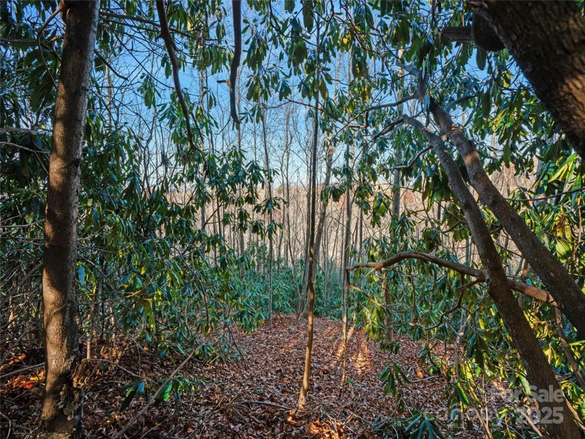 Property Slideshow image 6 of 36 | 99999 bay laurel ln, Hendersonville, NC, 28791