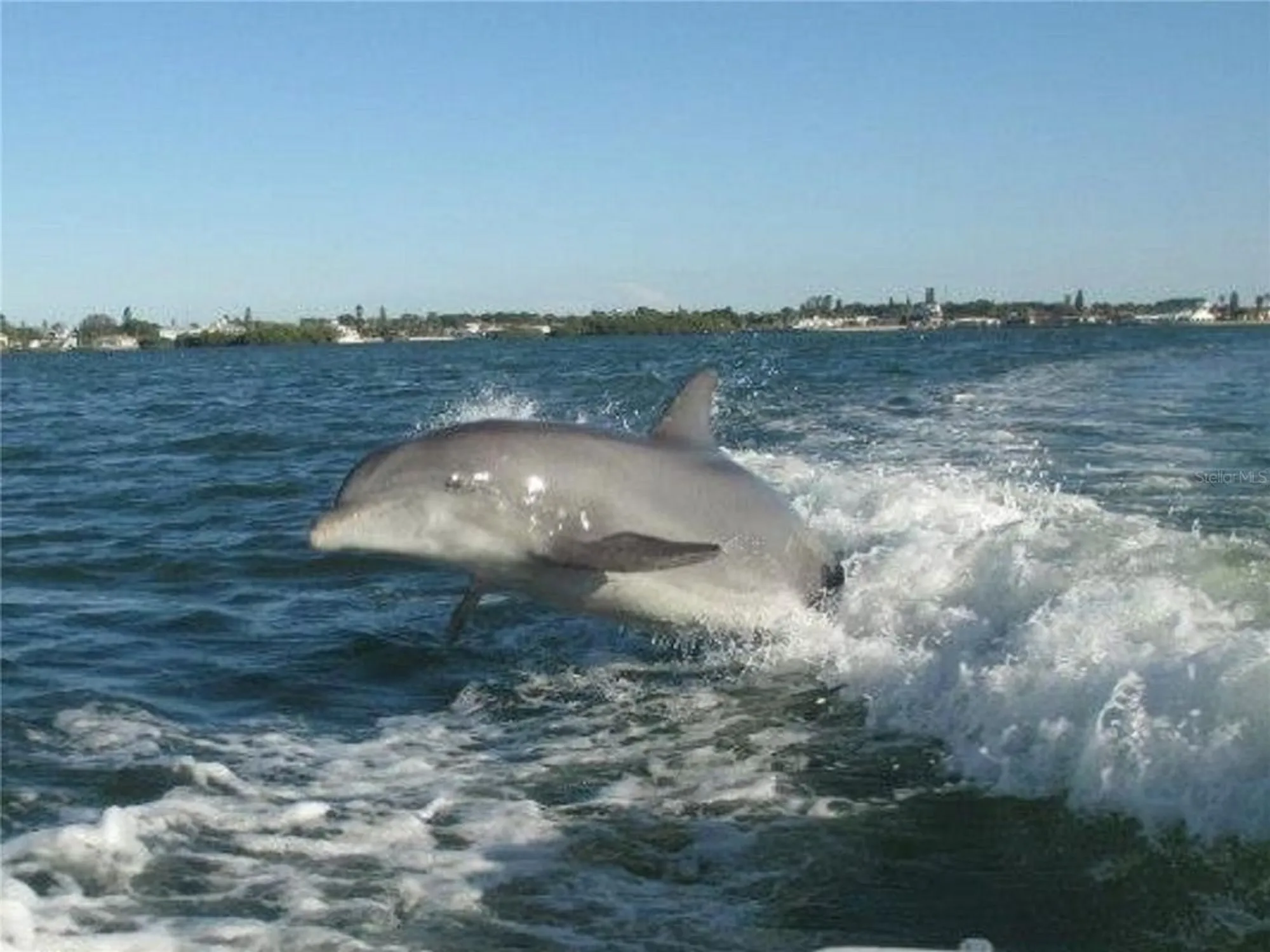 Property Slideshow image 84 of 100 | 610 apple ln, Englewood, FL, 34223
