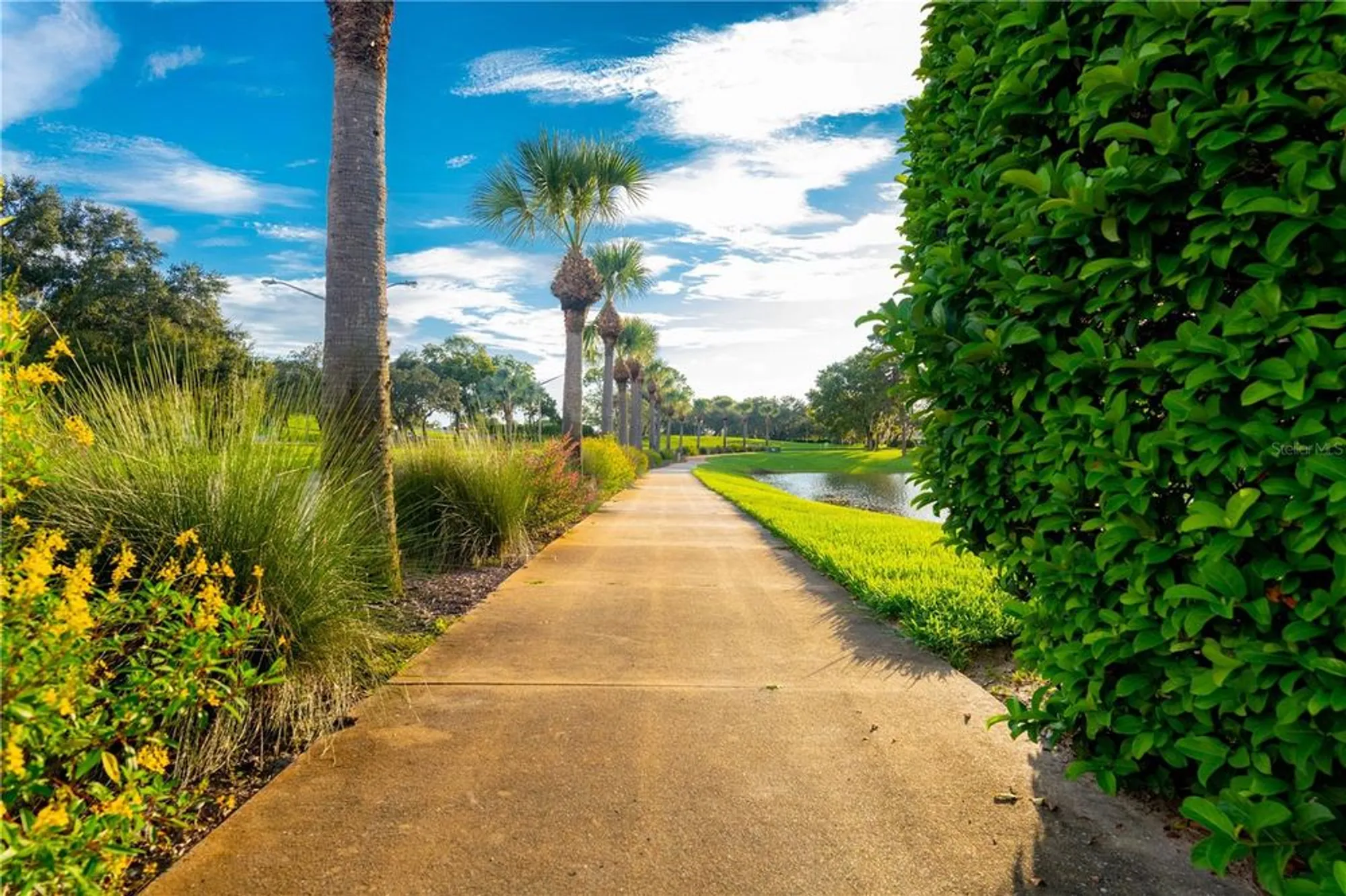 Property Slideshow image 49 of 56 | 8480 maybelle dr, Weeki Wachee, FL, 34613