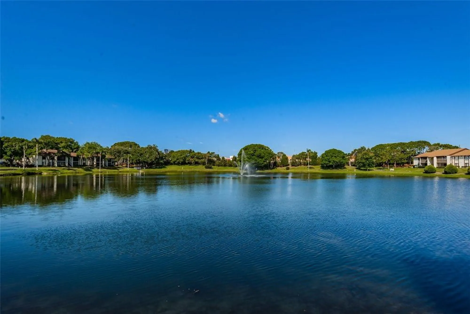 Property Slideshow image 53 of 65 | 2666 pine ridge way c2, Palm Harbor, FL, 34684