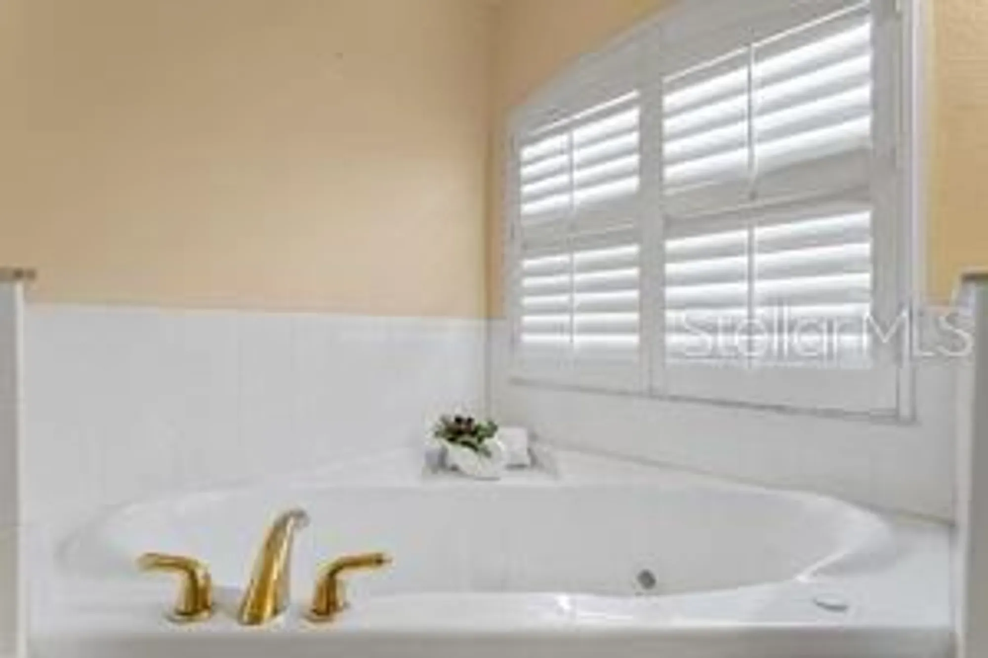 Property Slideshow image 24 of 72 | 24540 madewood ave, Leesburg, FL, 34748