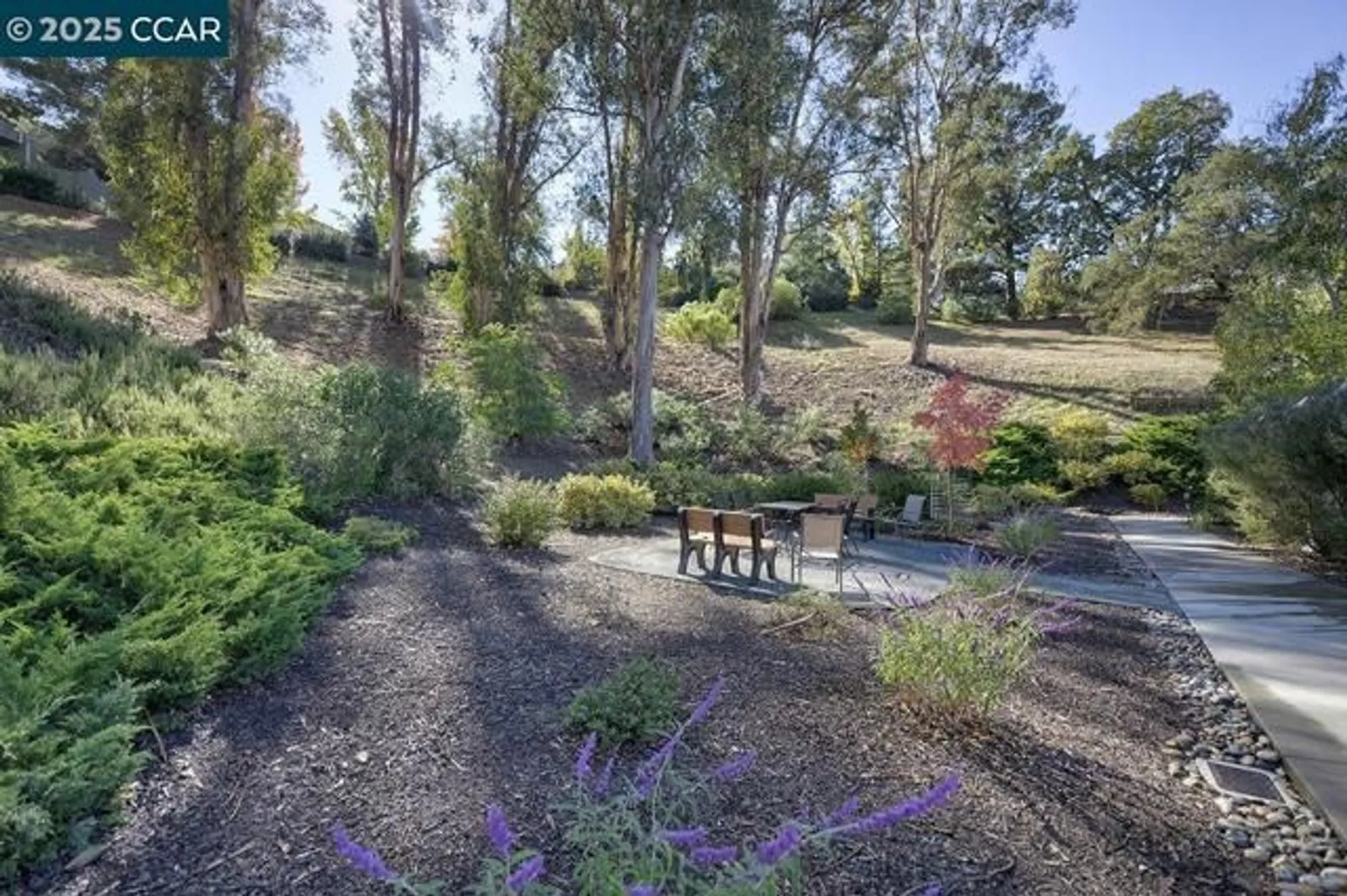 Property Slideshow image 32 of 45 | 1137 stanley dollar dr 5, Walnut Creek, CA, 94595