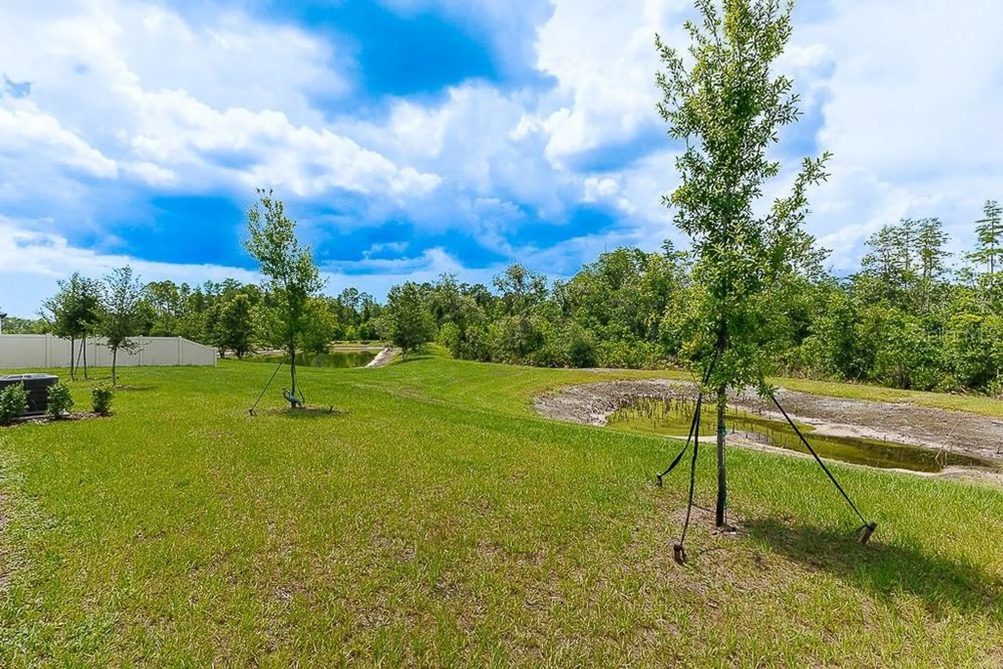 Property Slideshow image 48 of 77 | 10367 banyan breeze blvd, Land O Lakes, FL, 34638