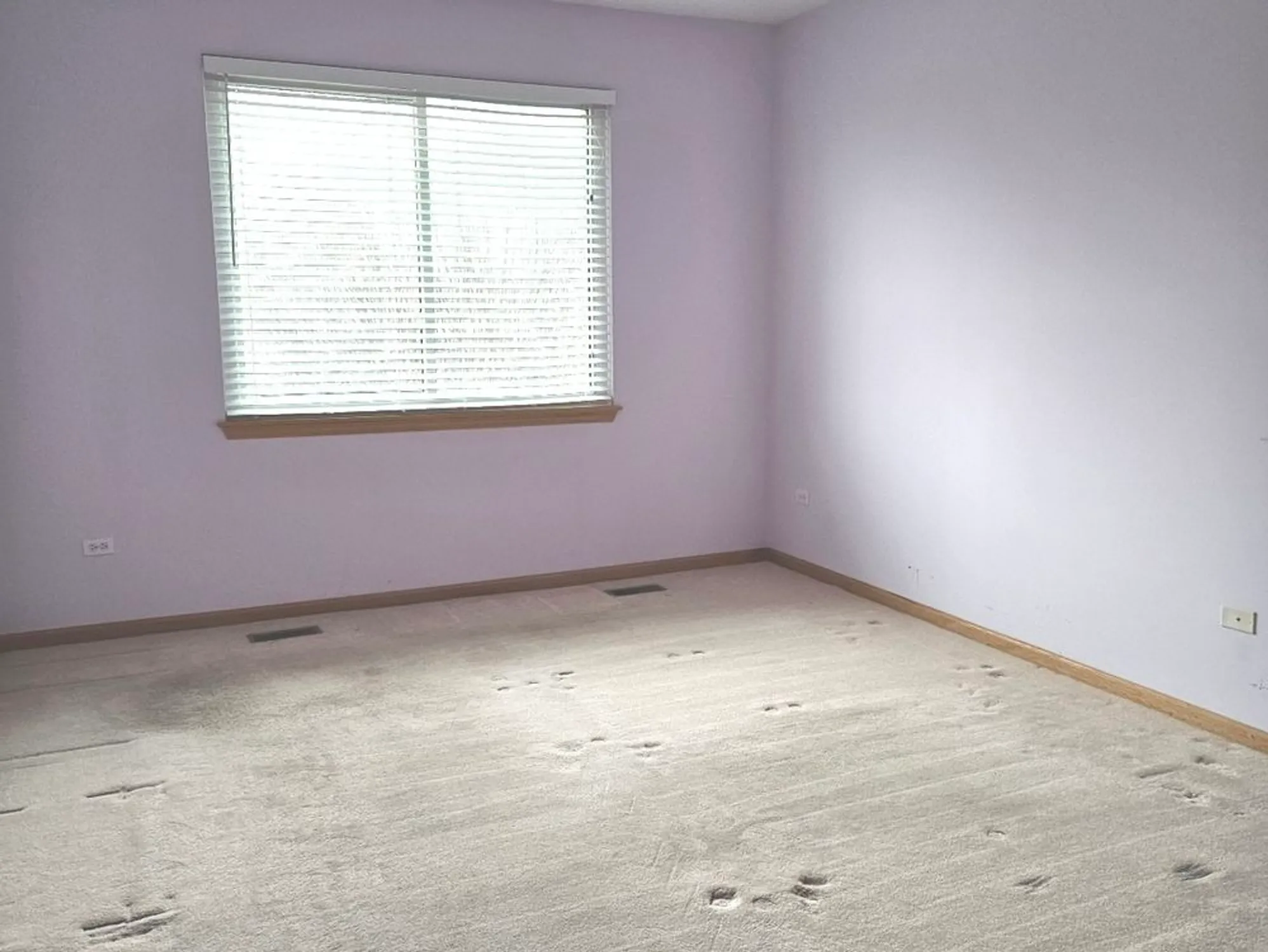 Property Slideshow image 8 of 27 | 21320 w douglas ln, Plainfield, IL, 60544