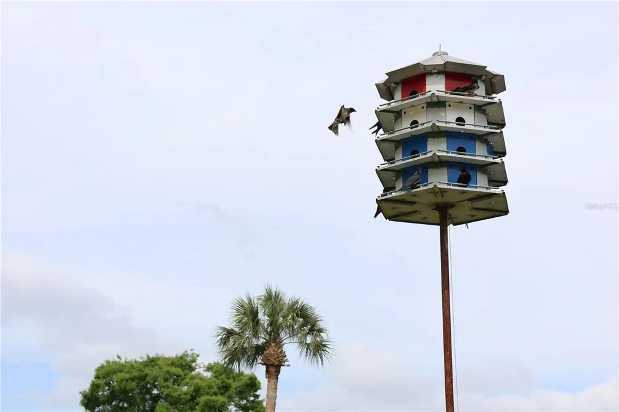 Property Slideshow image 32 of 44 | 700 mirror ter 303, Winter Haven, FL, 33881