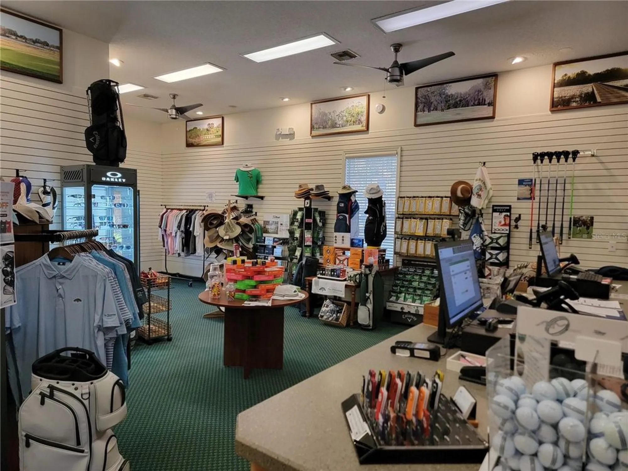 Property Slideshow image 61 of 86 | 3529 mount hope loop, Leesburg, FL, 34748