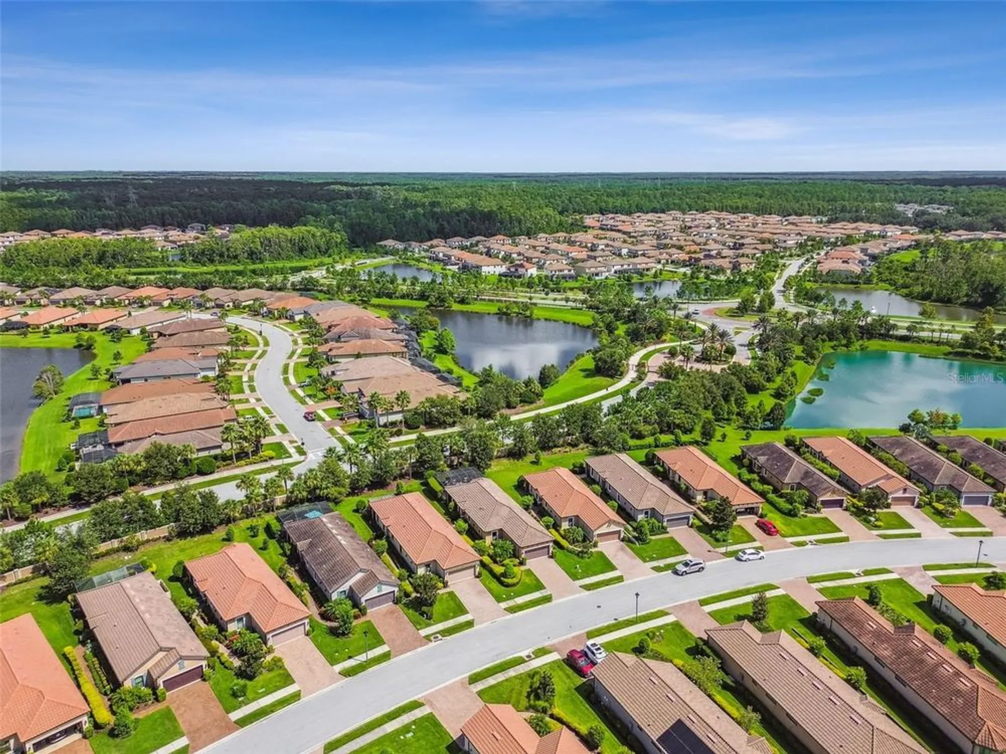 Property Slideshow image 65 of 70 | 11551 callisia dr, Odessa, FL, 33556