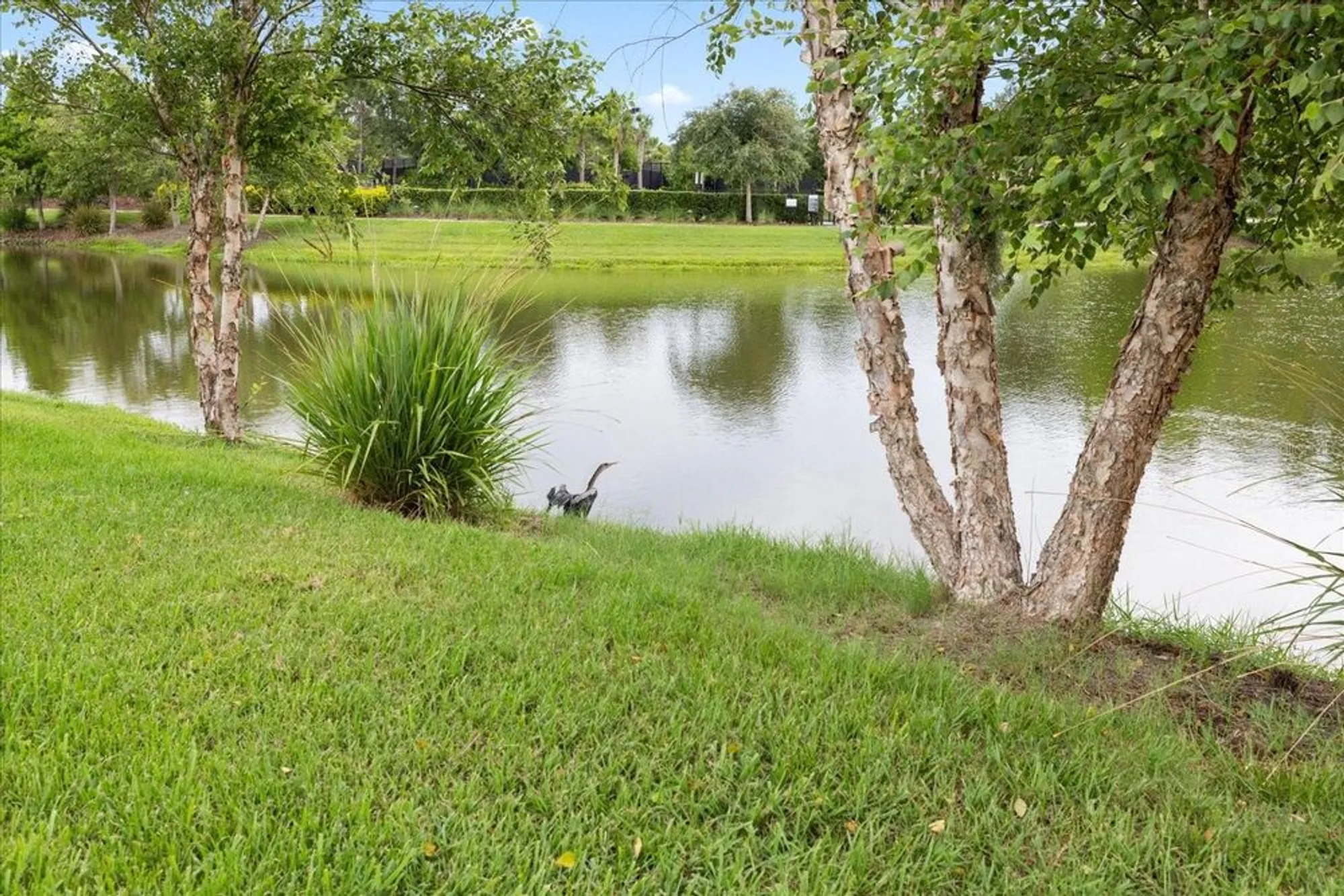 Property Slideshow image 56 of 91 | 11398 juglans dr, Odessa, FL, 33556