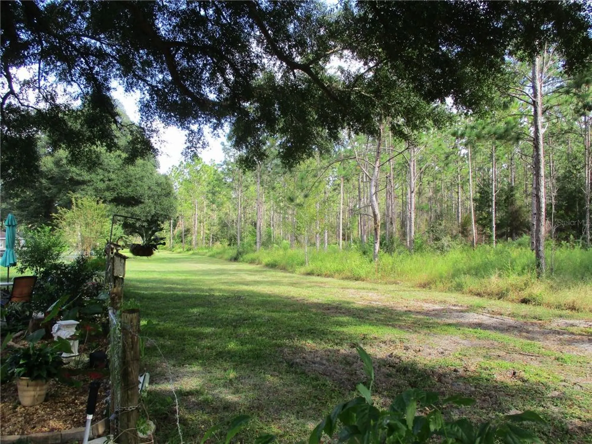 Property Slideshow image 62 of 89 | 14272 sw 112th cir, Dunnellon, FL, 34432