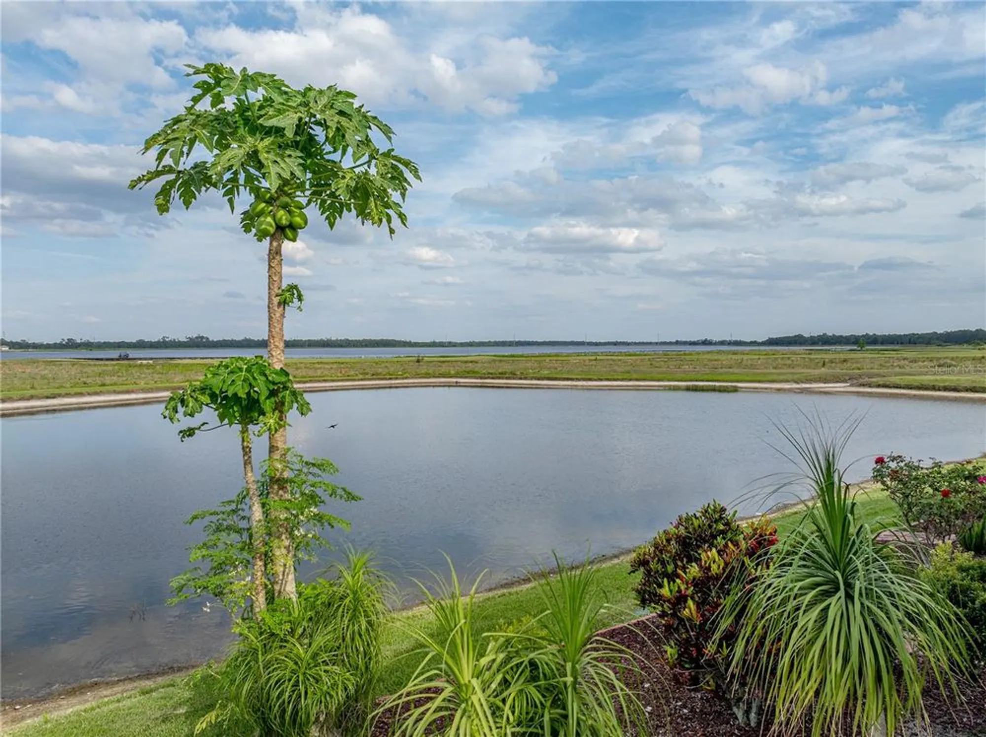 Property Slideshow image 70 of 86 | 4081 dunmore dr, Lake Wales, FL, 33859