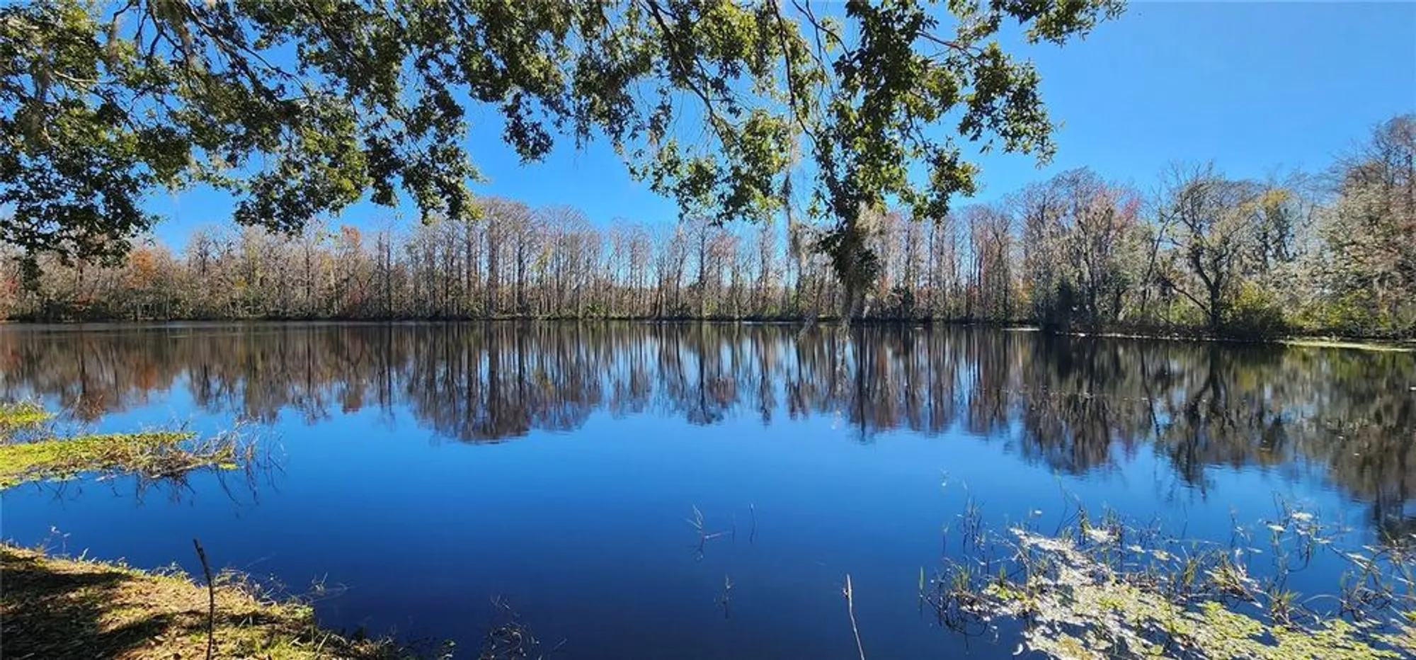 Property Slideshow image 28 of 31 | 404 s timber trl, Wildwood, FL, 34785