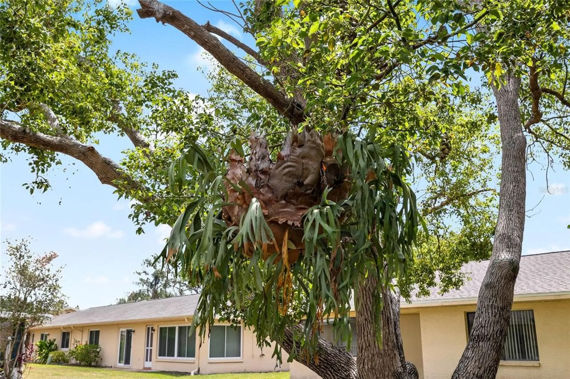 Property Slideshow image 28 of 33 | 1530 ingram dr # 1530, Sun City Center, FL, 33573