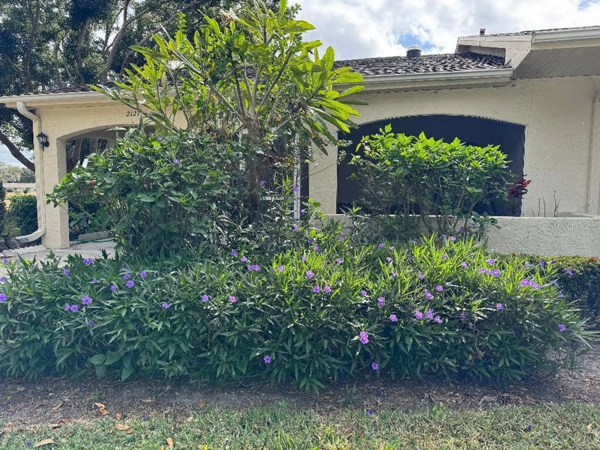 Property Slideshow image 4 of 61 | 2127 hailstone cir, Sun City Center, FL, 33573