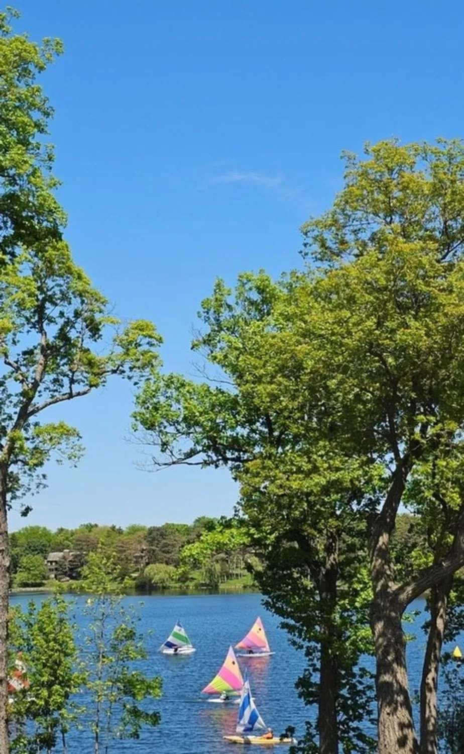 Property Slideshow image 38 of 39 | 209 shoreline rd b, Lake Barrington, IL, 60010