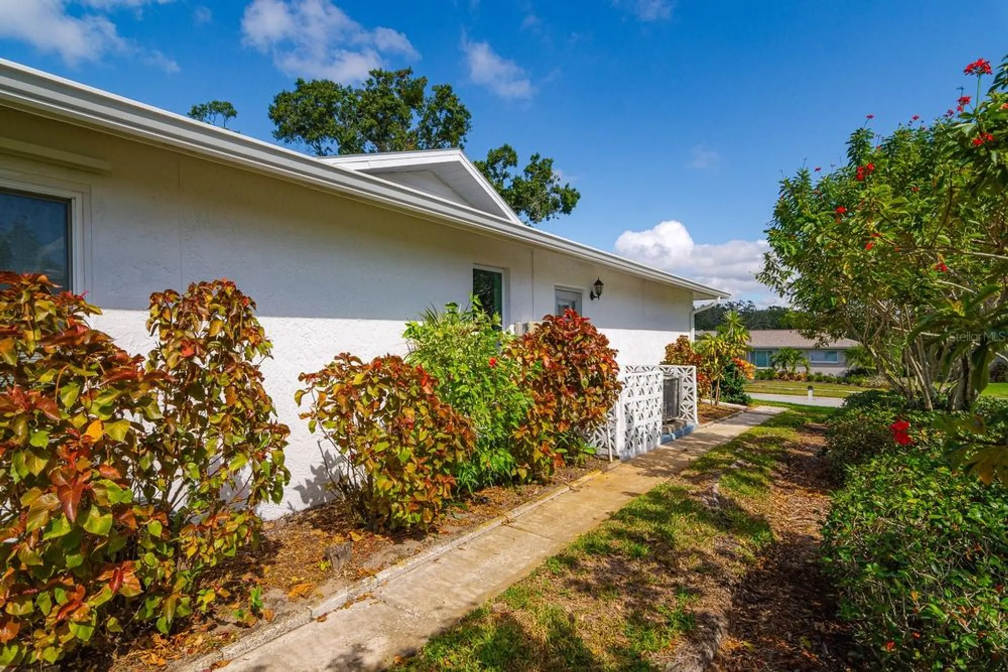 Property Slideshow image 33 of 45 | 1212 timberbrooke dr, Palm Harbor, FL, 34684