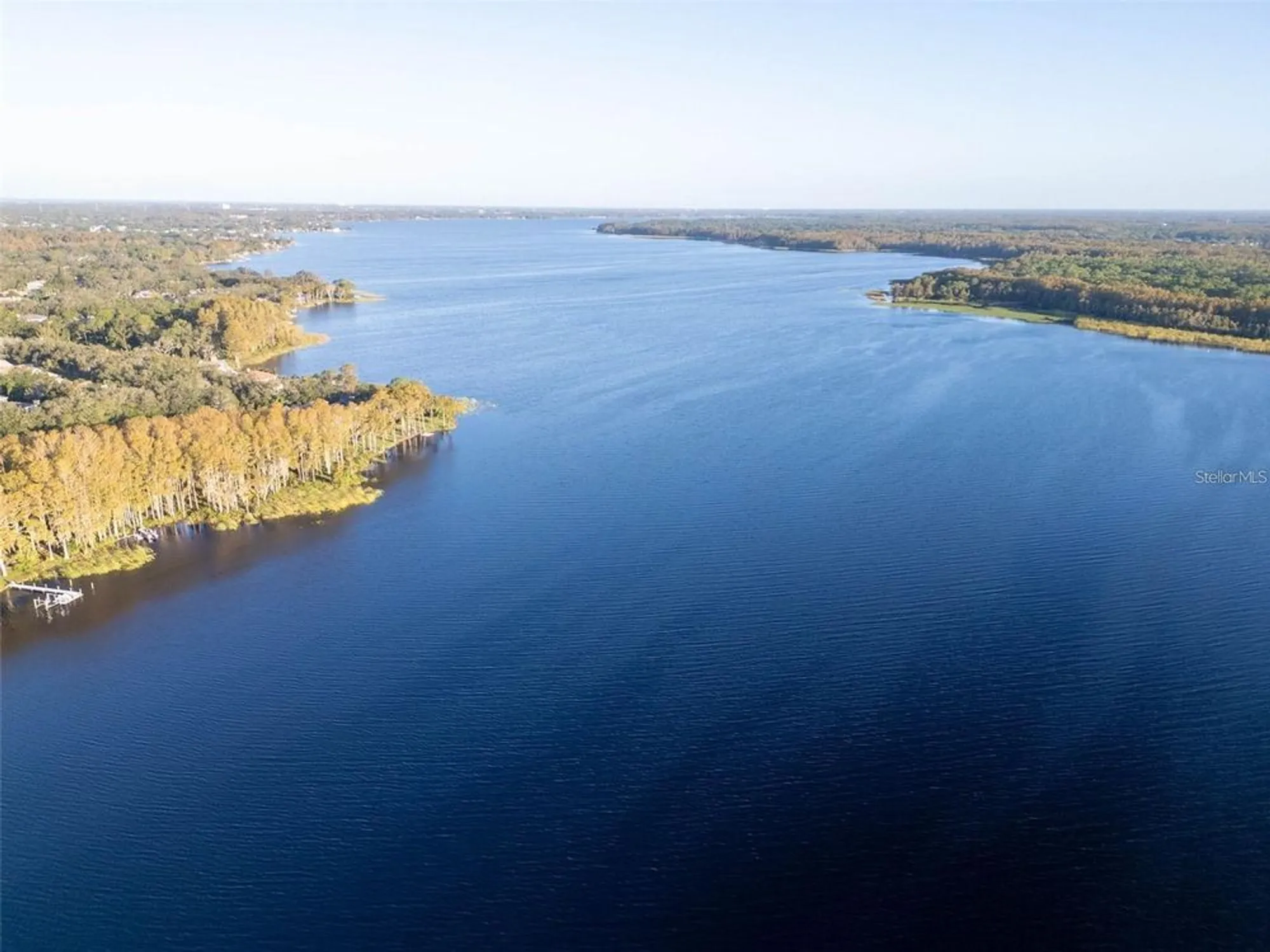 Property Slideshow image 55 of 62 | 3109 mission grove dr d, Palm Harbor, FL, 34684