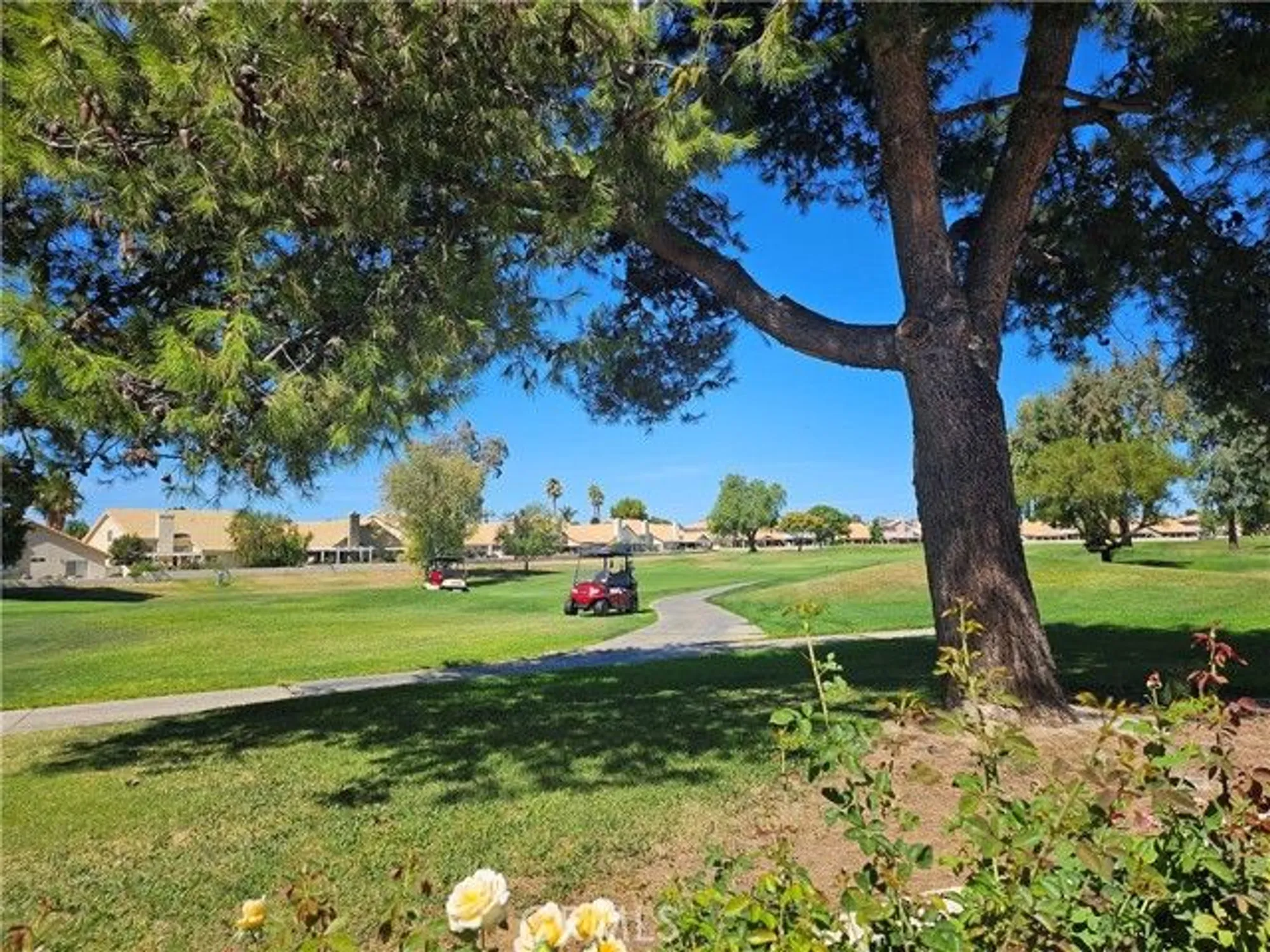 Property Slideshow image 42 of 45 | 1127 riviera ave, Banning, CA, 92220