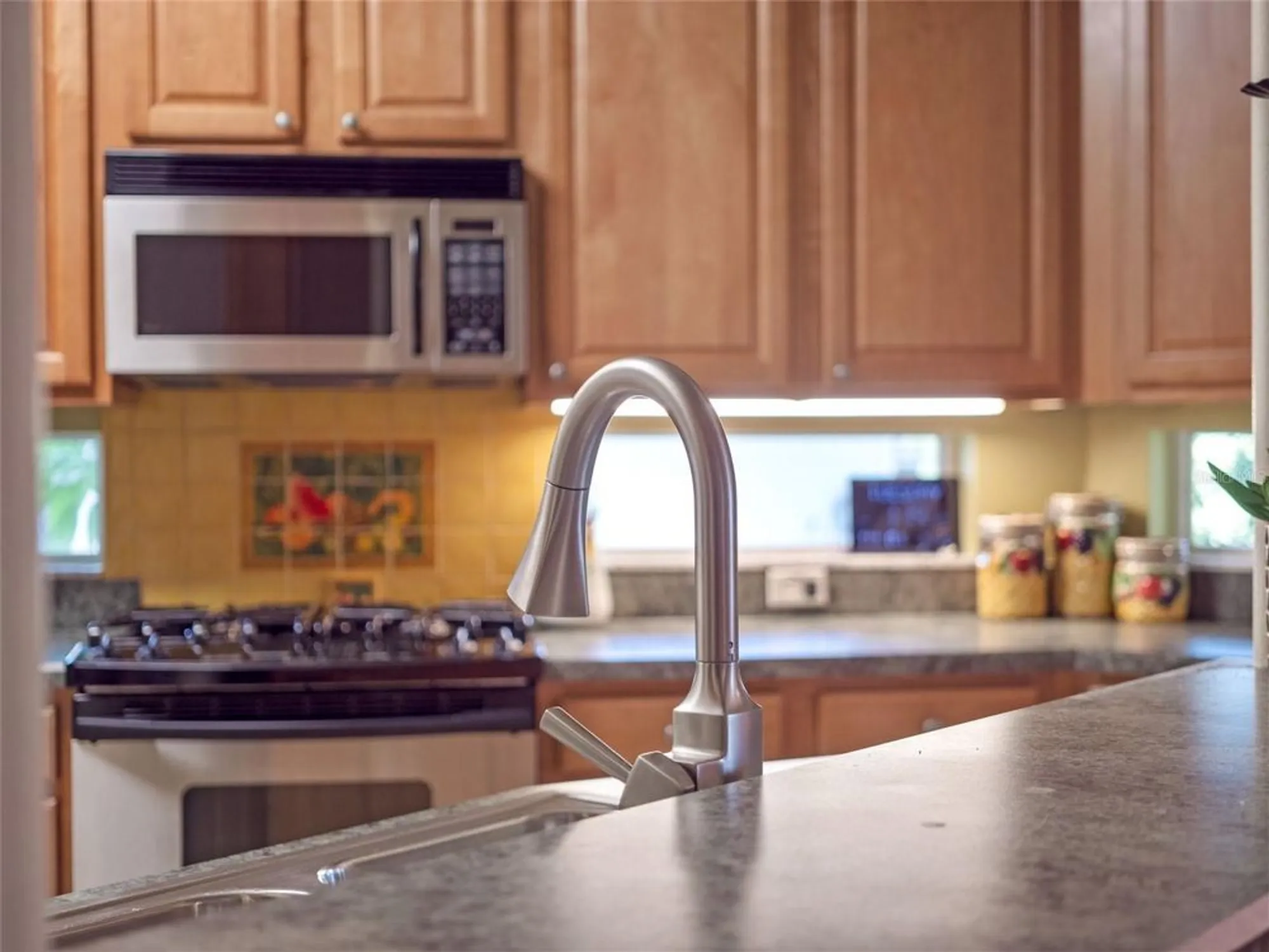 Property Slideshow image 21 of 68 | 21325 royal troon dr, Leesburg, FL, 34748