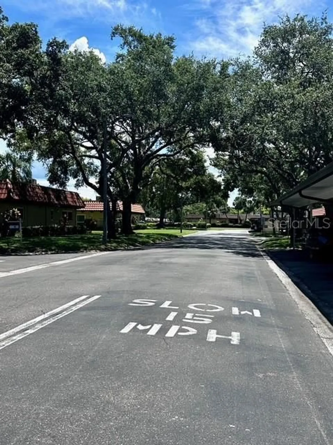 Property Slideshow image 31 of 31 | 1701 pinehurst rd apt 13c, Dunedin, FL, 34698