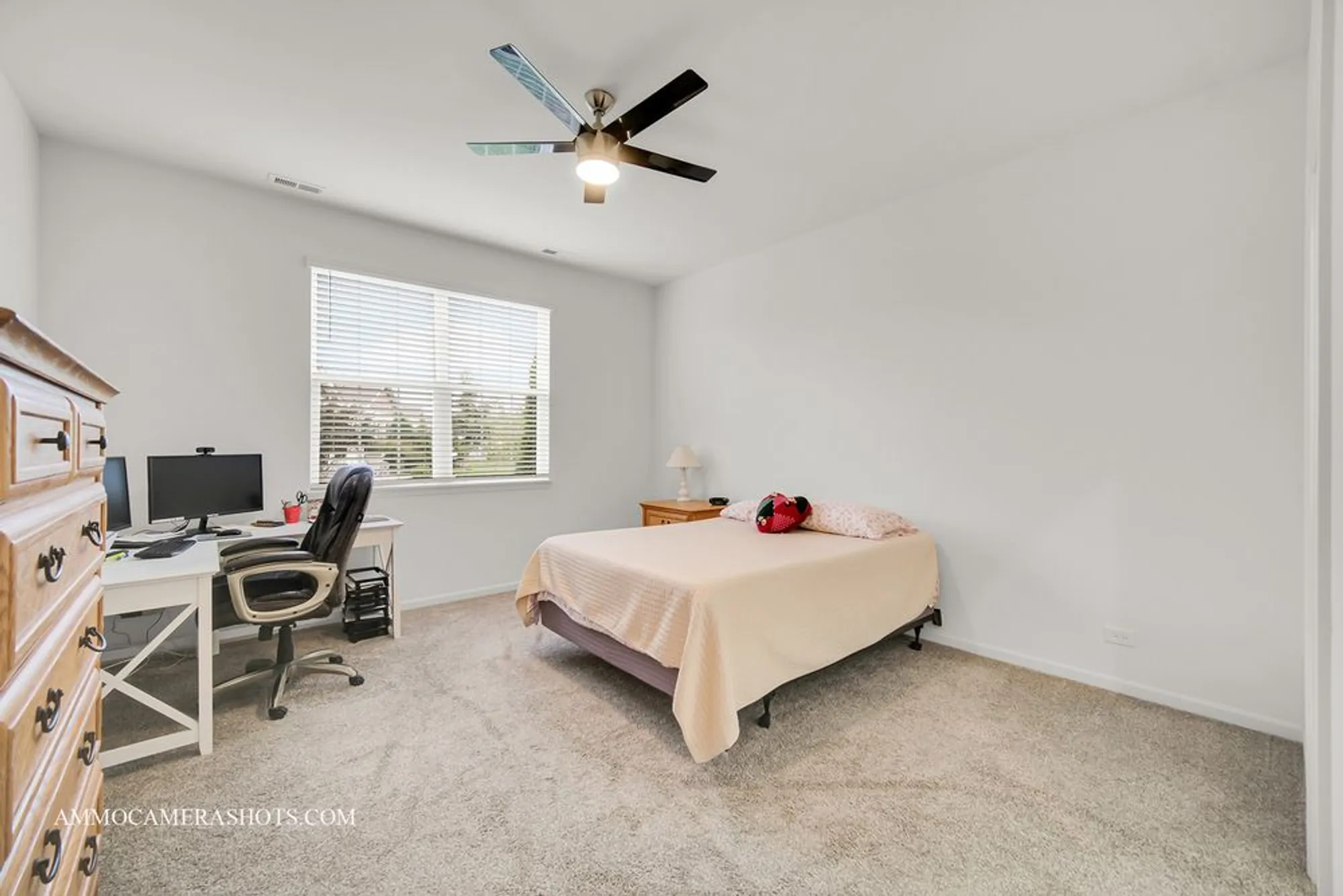 Property Slideshow image 18 of 29 | 1108 crestview ln # 1354, Pingree Grove, IL, 60140