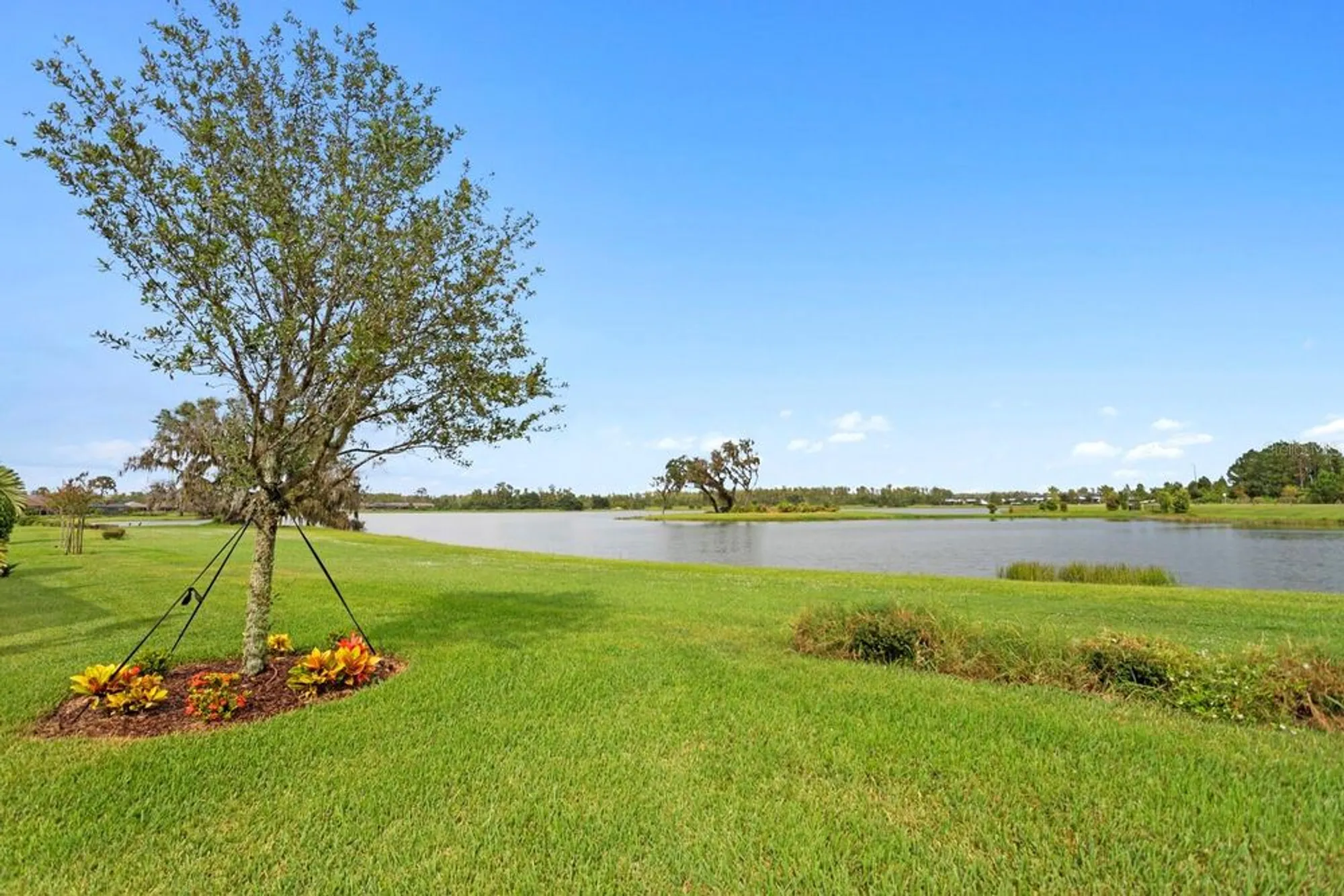 Property Slideshow image 45 of 62 | 3214 forsythia dr, Odessa, FL, 33556