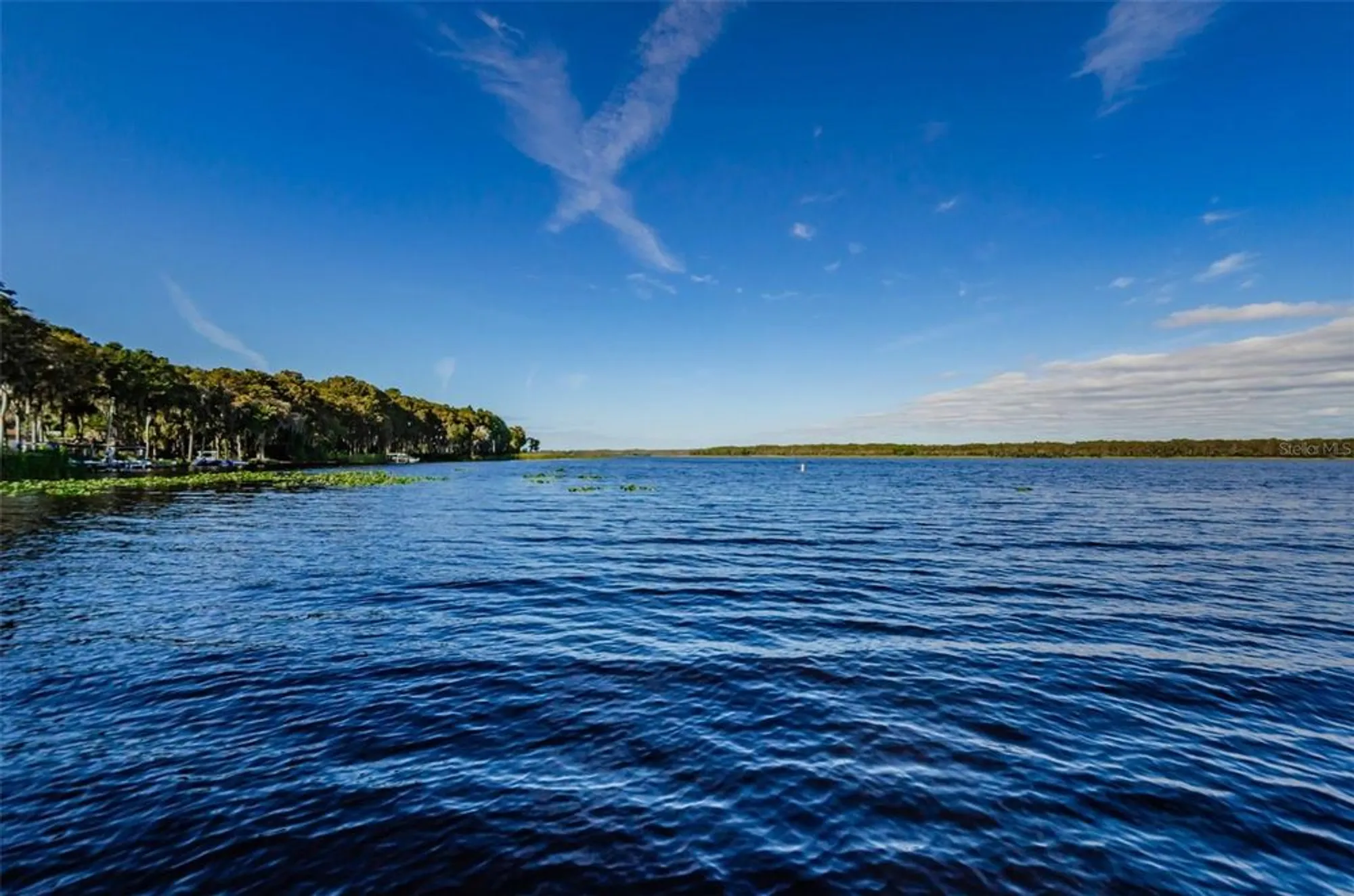 Property Slideshow image 67 of 81 | 3497 e woodmont way, Palm Harbor, FL, 34684