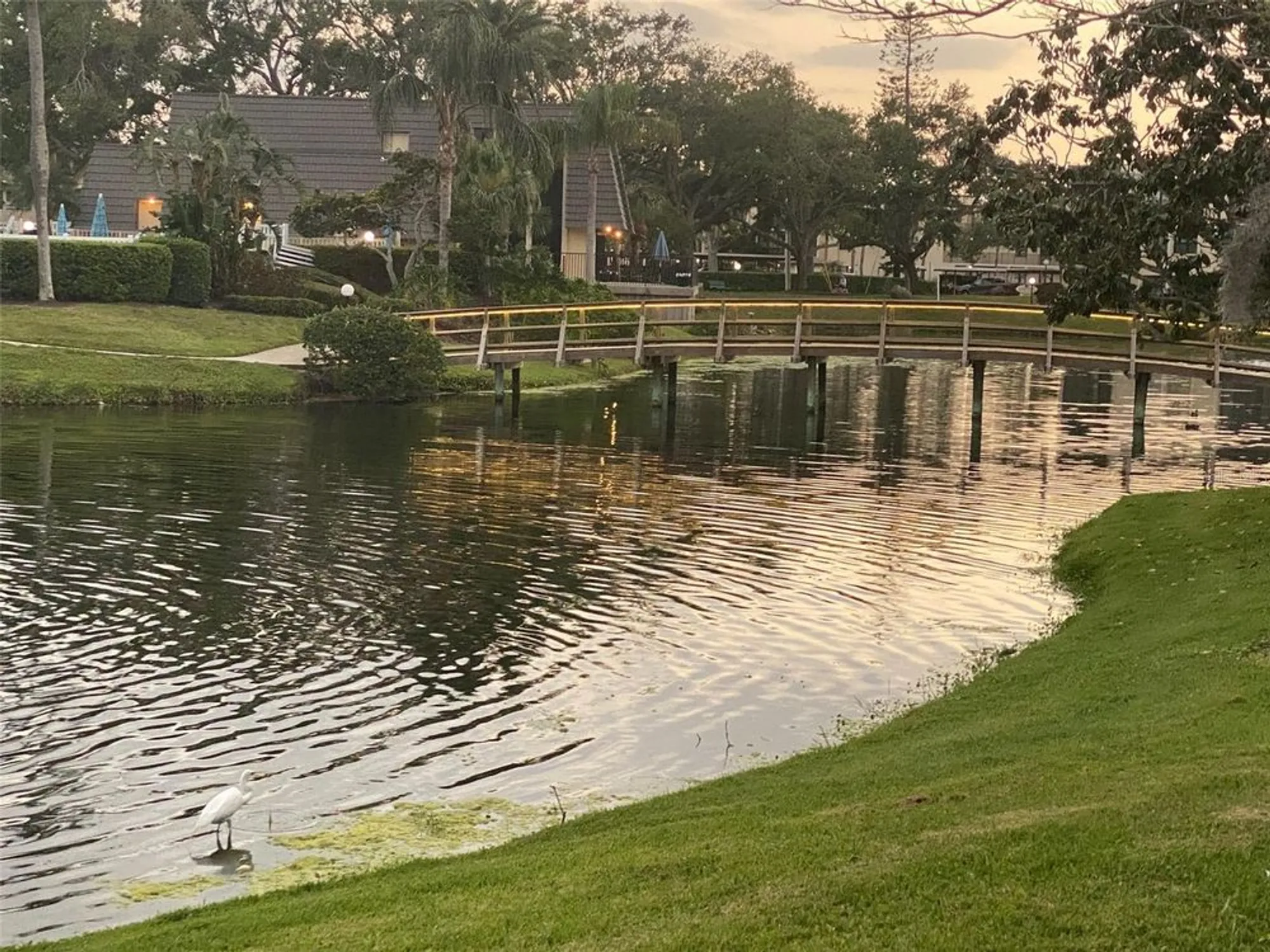 Property Slideshow image 45 of 56 | 14130 rosemary ln 3312, Largo, FL, 33774