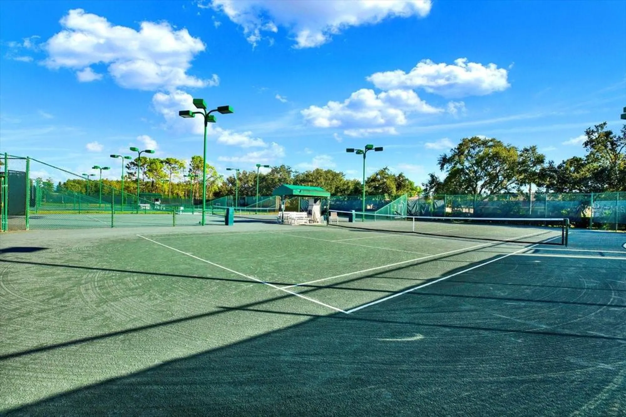 Property Slideshow image 39 of 49 | 1851 arbor knoll loop, Trinity, FL, 34655