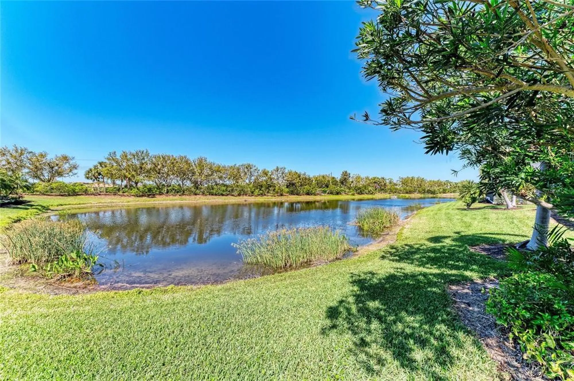 Property Slideshow image 39 of 47 | 428 grand preserve cv, Bradenton, FL, 34212