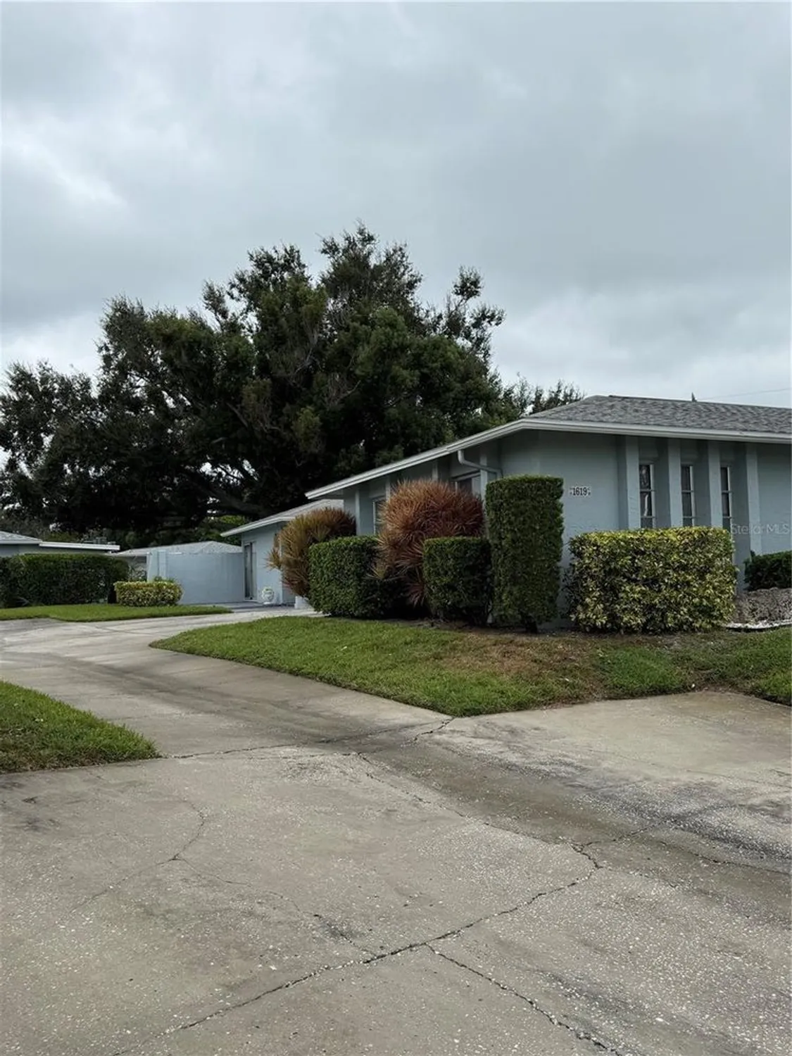 Property Slideshow image 35 of 35 | 1619 whithorn pl d, Palm Harbor, FL, 34684