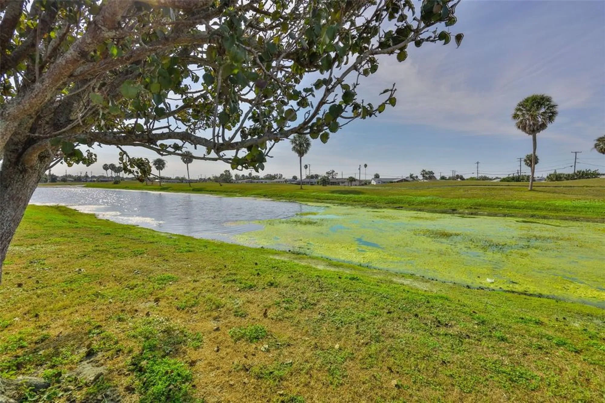 Property Slideshow image 4 of 63 | 1502 desert hills dr, Sun City Center, FL, 33573