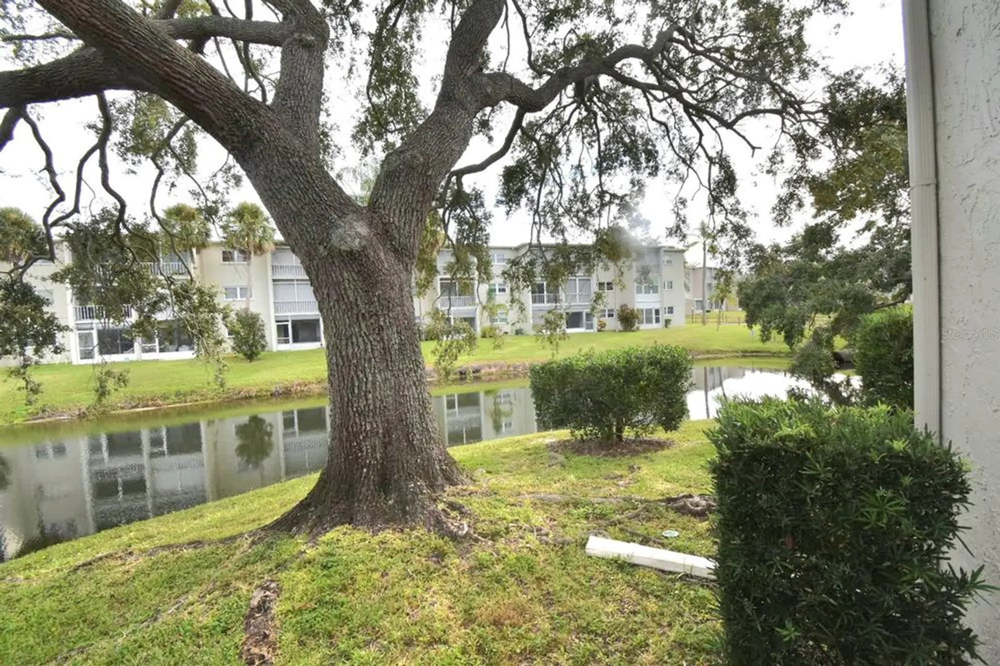 Property Slideshow image 10 of 50 | 940 virginia st 108, Dunedin, FL, 34698