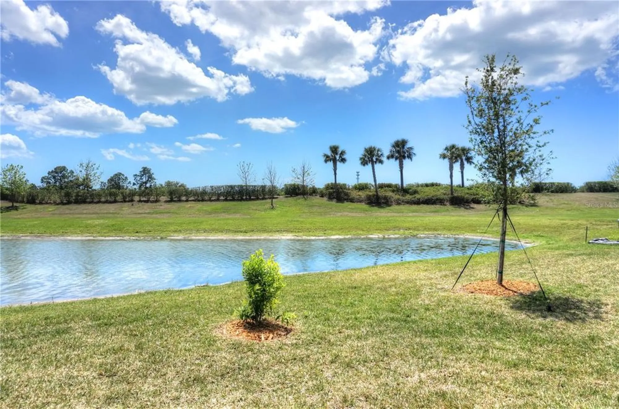 Property Slideshow image 18 of 38 | 24273 spartina dr, Venice, FL, 34293