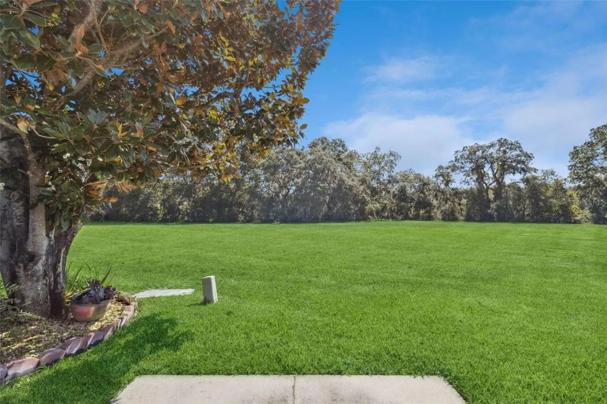 Property Slideshow image 6 of 82 | 26755 cash ct, Leesburg, FL, 34748