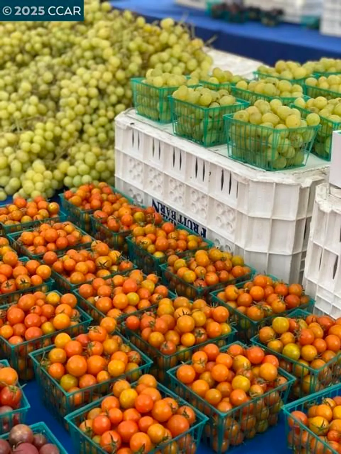 Property Slideshow image 47 of 48 | 2933 ptarmigan dr 3, Walnut Creek, CA, 94595