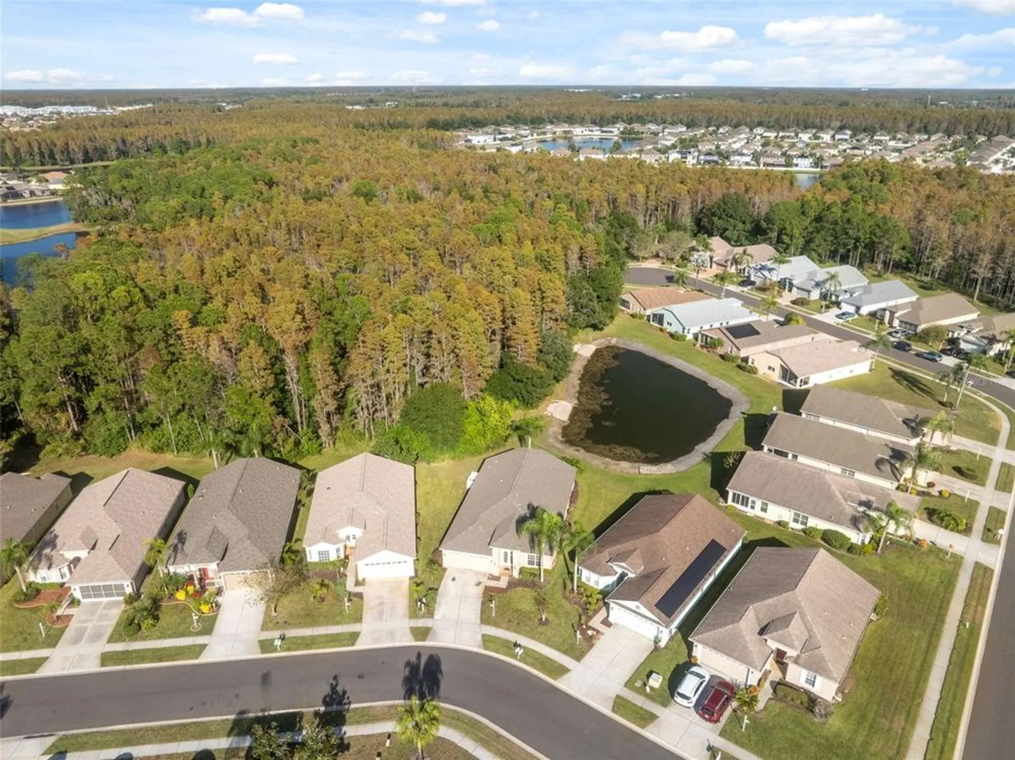 Property Slideshow image 54 of 78 | 1201 dustan pl, Trinity, FL, 34655