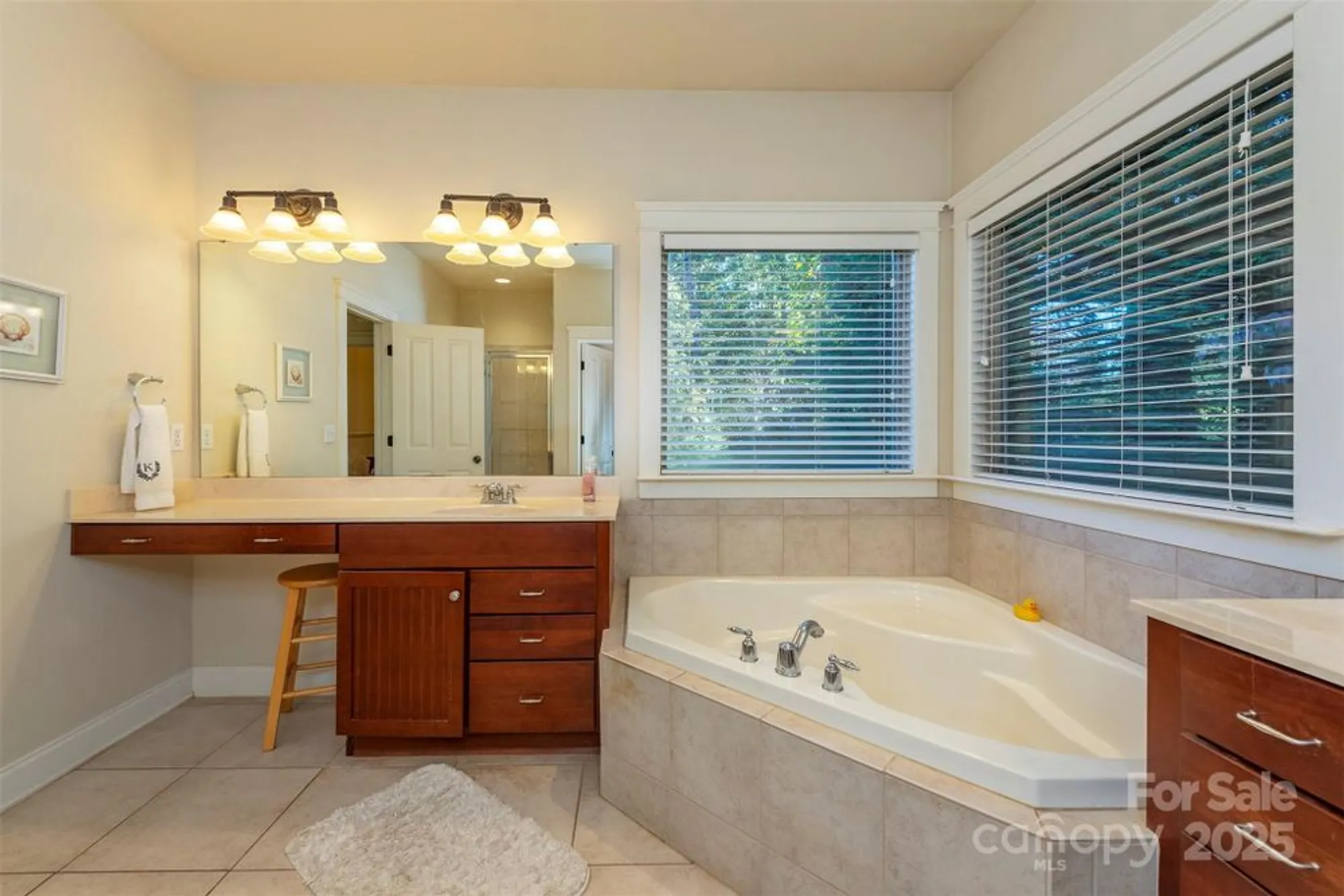 Property Slideshow image 27 of 48 | 4 yellow owl dr, Biltmore Lake, NC, 28715