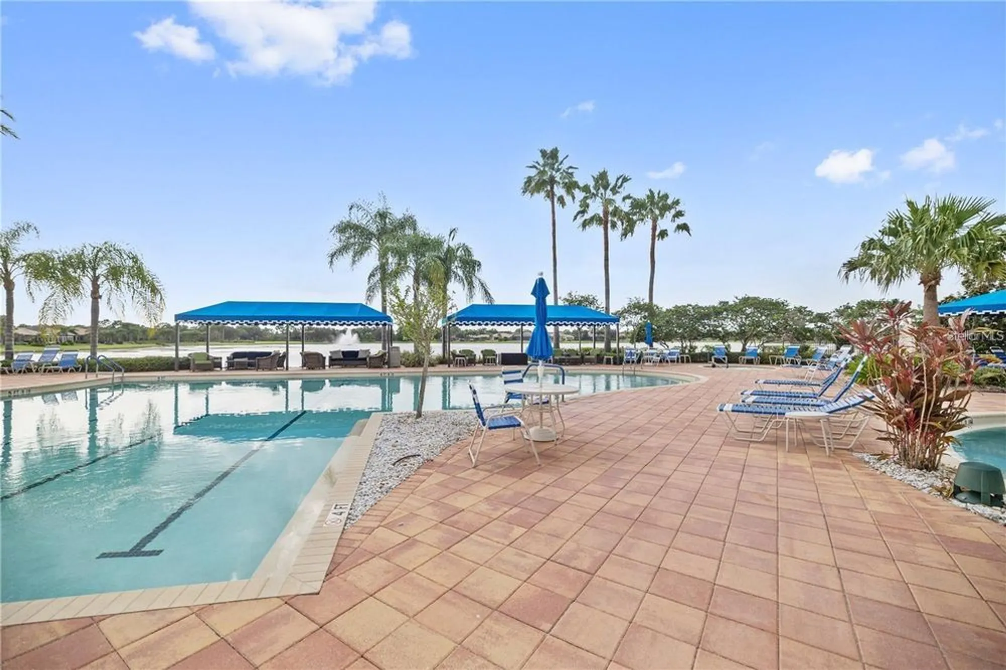 Property Slideshow image 61 of 75 | 15909 cape coral dr, Wimauma, FL, 33598