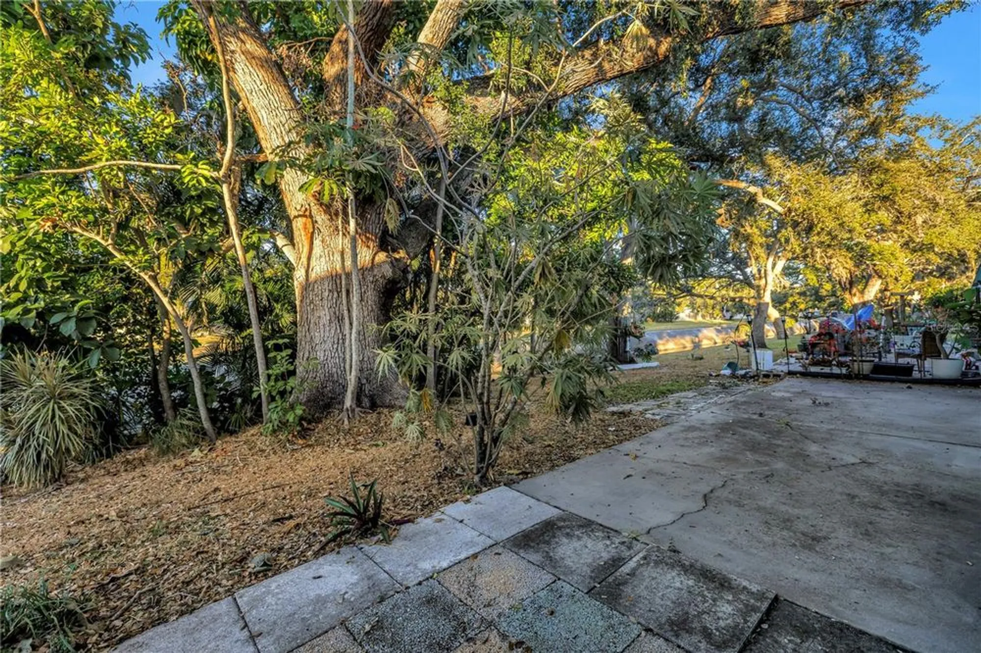 Property Slideshow image 32 of 39 | 7081 lafayette n # 7081, Pinellas Park, FL, 33781