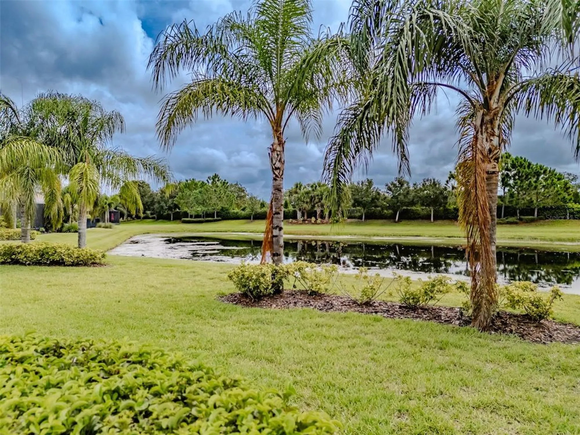 Property Slideshow image 51 of 96 | 15937 cape coral dr, Wimauma, FL, 33598