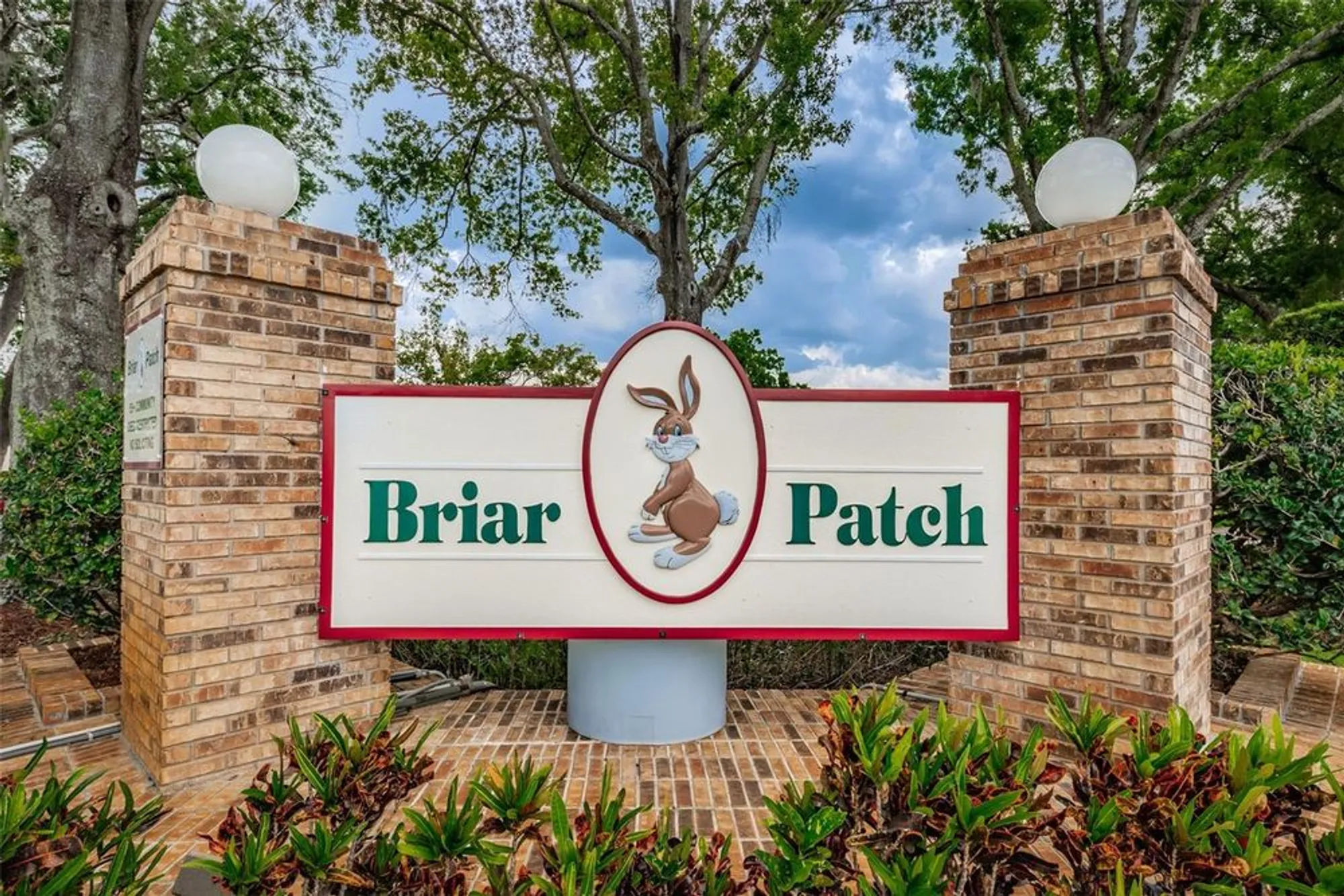 Property Slideshow image 44 of 44 | 6425 thicket trl, New Port Richey, FL, 34653