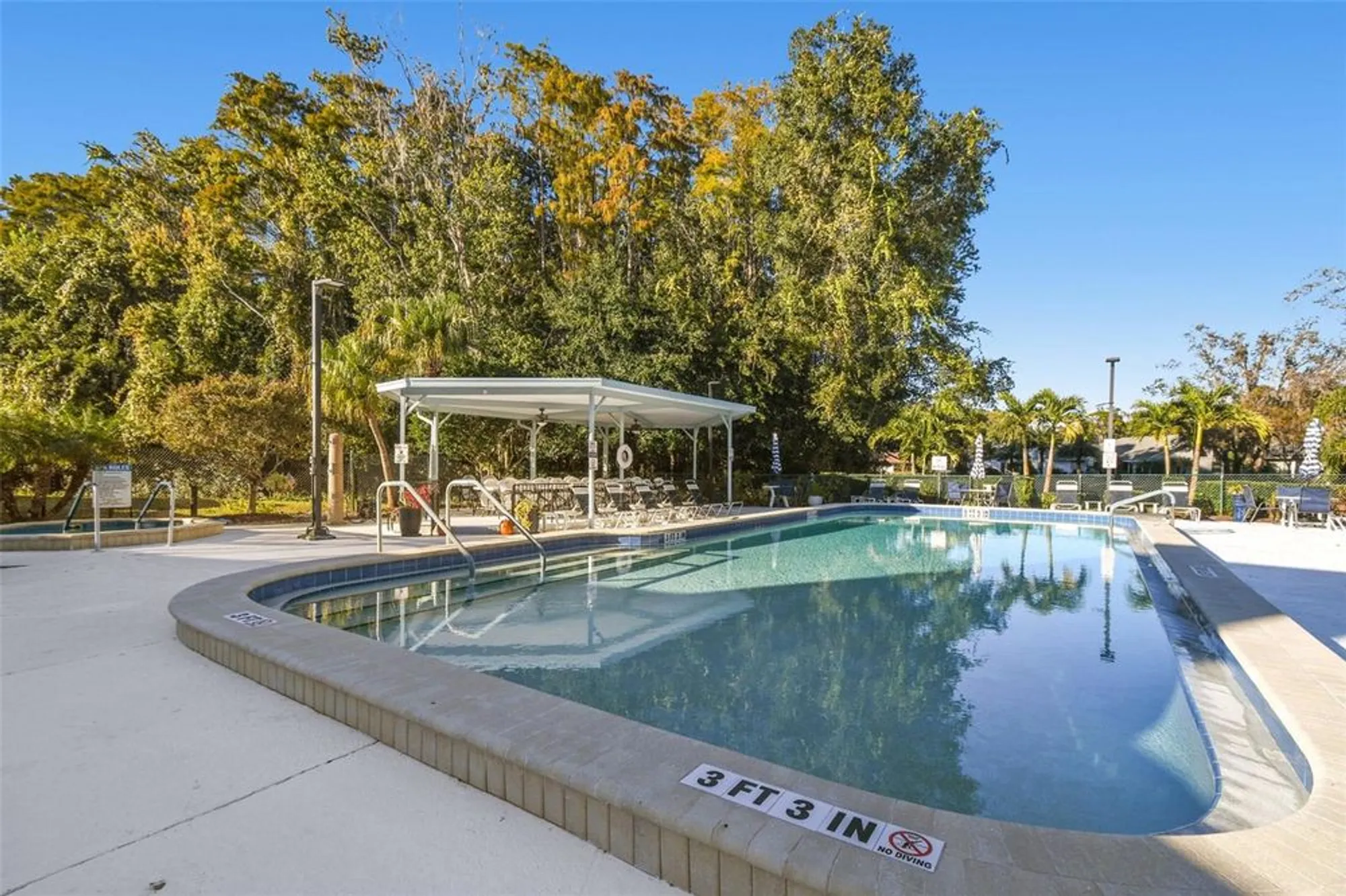 Property Slideshow image 39 of 49 | 11539 scotch pine dr, New Port Richey, FL, 34654