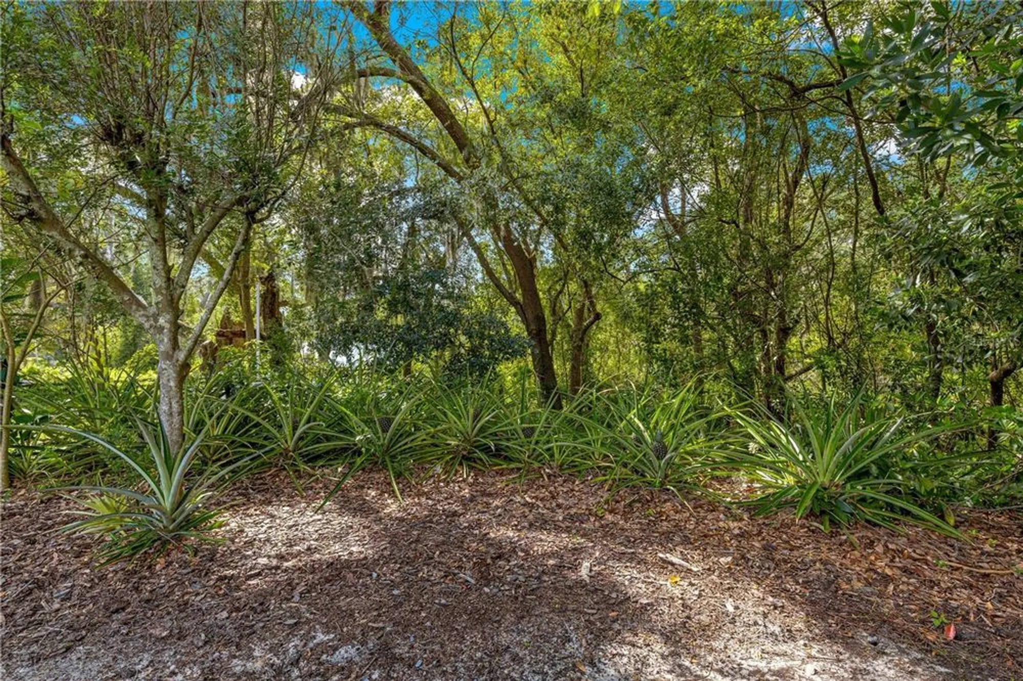 Property Slideshow image 40 of 59 | 8045 waterbury way, Mount Dora, FL, 32757