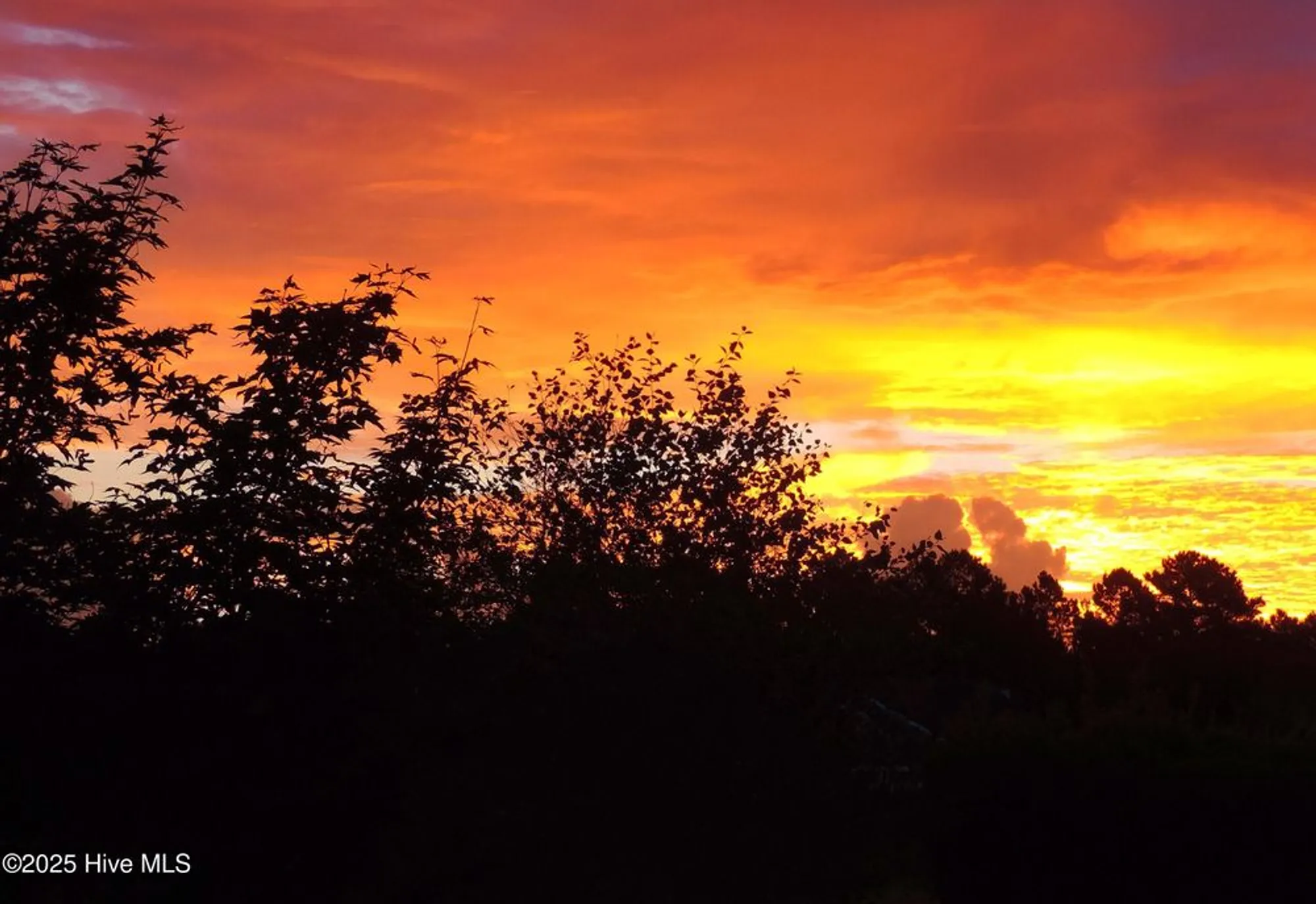 Property Slideshow image 50 of 83 | 2170 talmage dr, Leland, NC, 28451