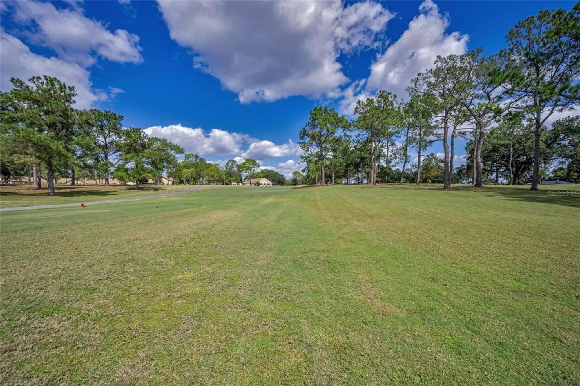 Property Slideshow image 33 of 58 | 1199 woodfield ct, Palm Harbor, FL, 34684
